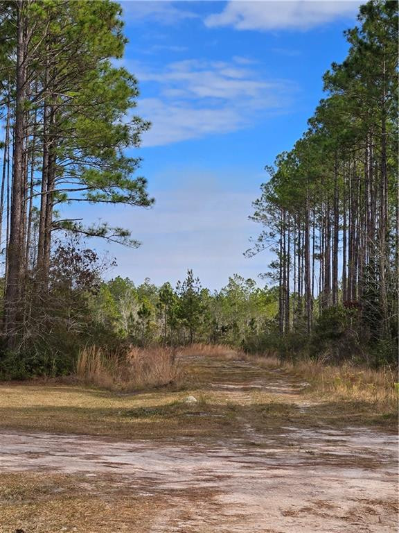 4825 Duck Road Waycross, GA 31503 - Photo 14 of 16 Gallery Image 14