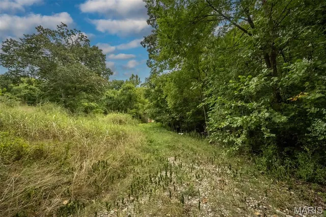 $550,000 | 1924 Jennifer Lynn Lane, Arnold, MO 63010