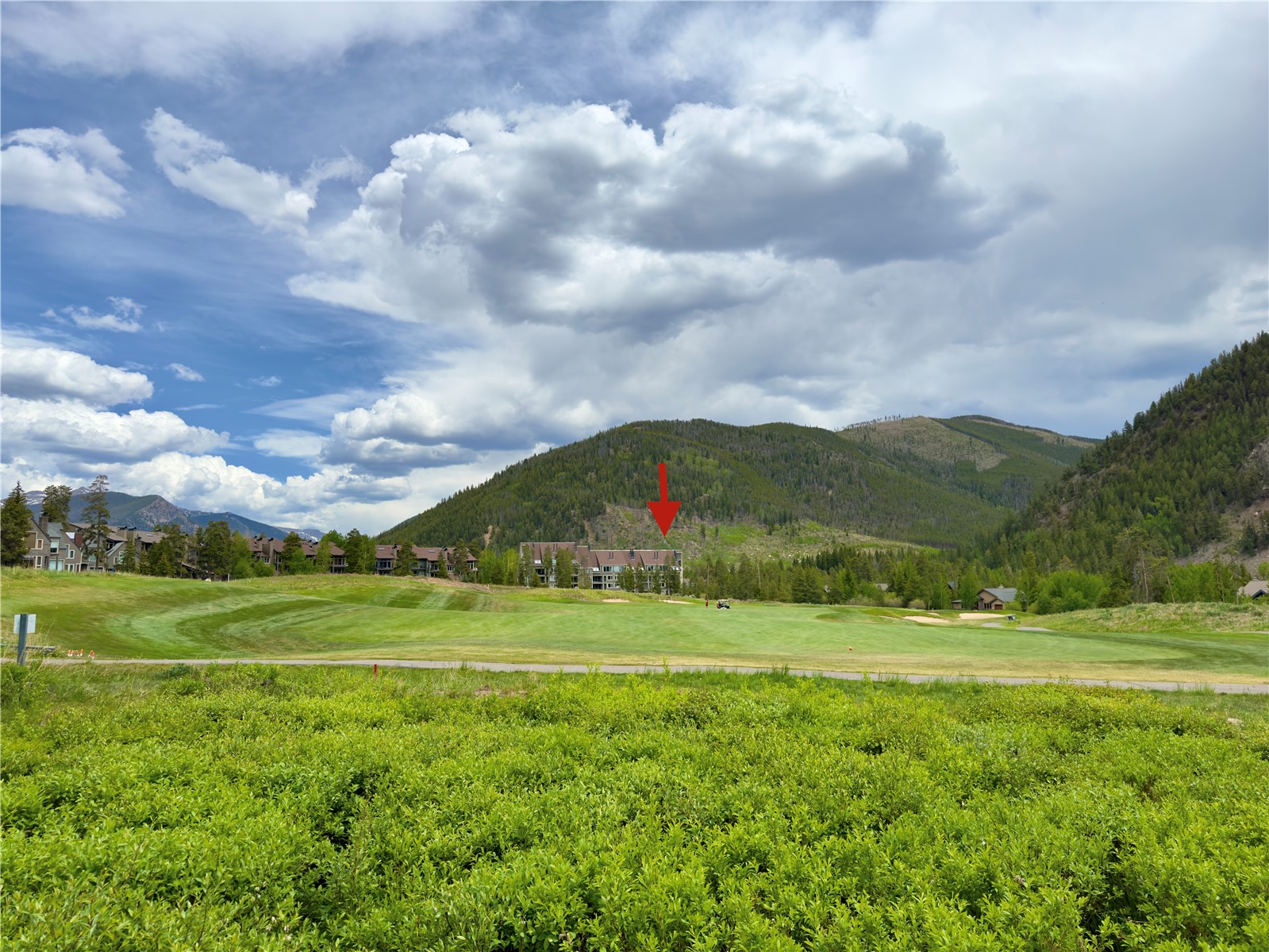 21640 Highway 6, Unit 2124 Keystone, CO 80435 - Photo 39 of 49 VIEW OF THE PINES IN THE FAR DISTANCE FROM THE RIVER GOLF COURSE