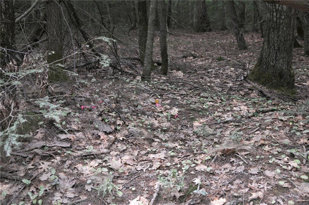 323 Cheney Woods Road Wells, ME 04090 - Photo 3 of 13 Photo