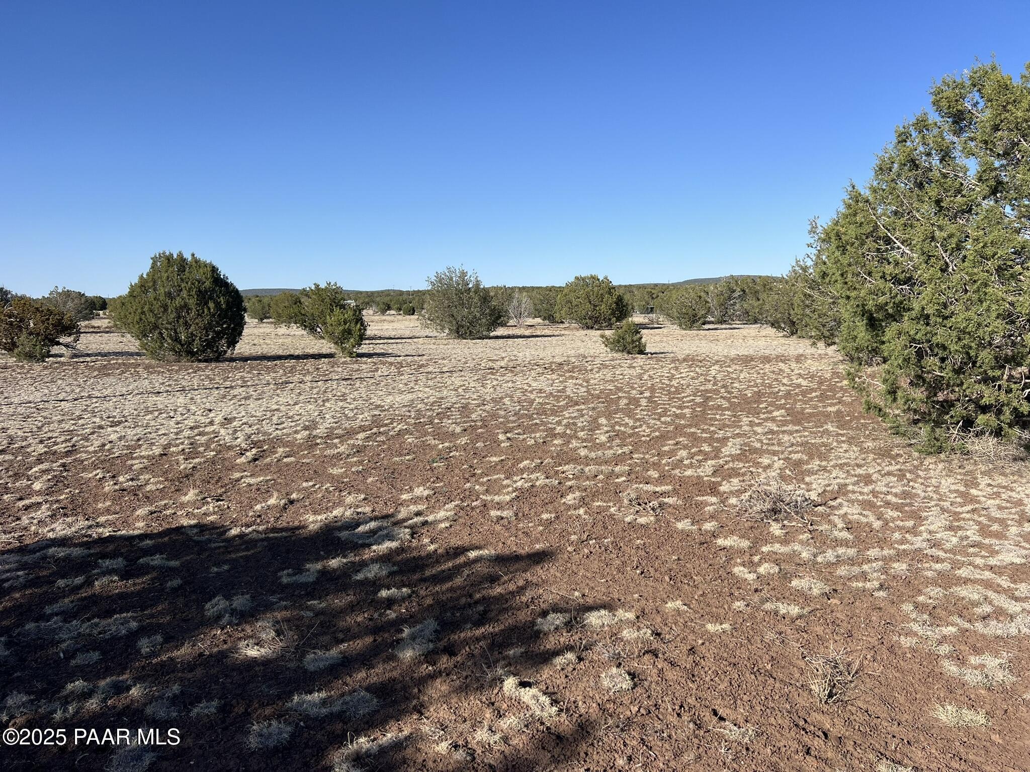 2265 Rincon Drive Williams, AZ 86046 - Photo 2 of 9 IMG_7742