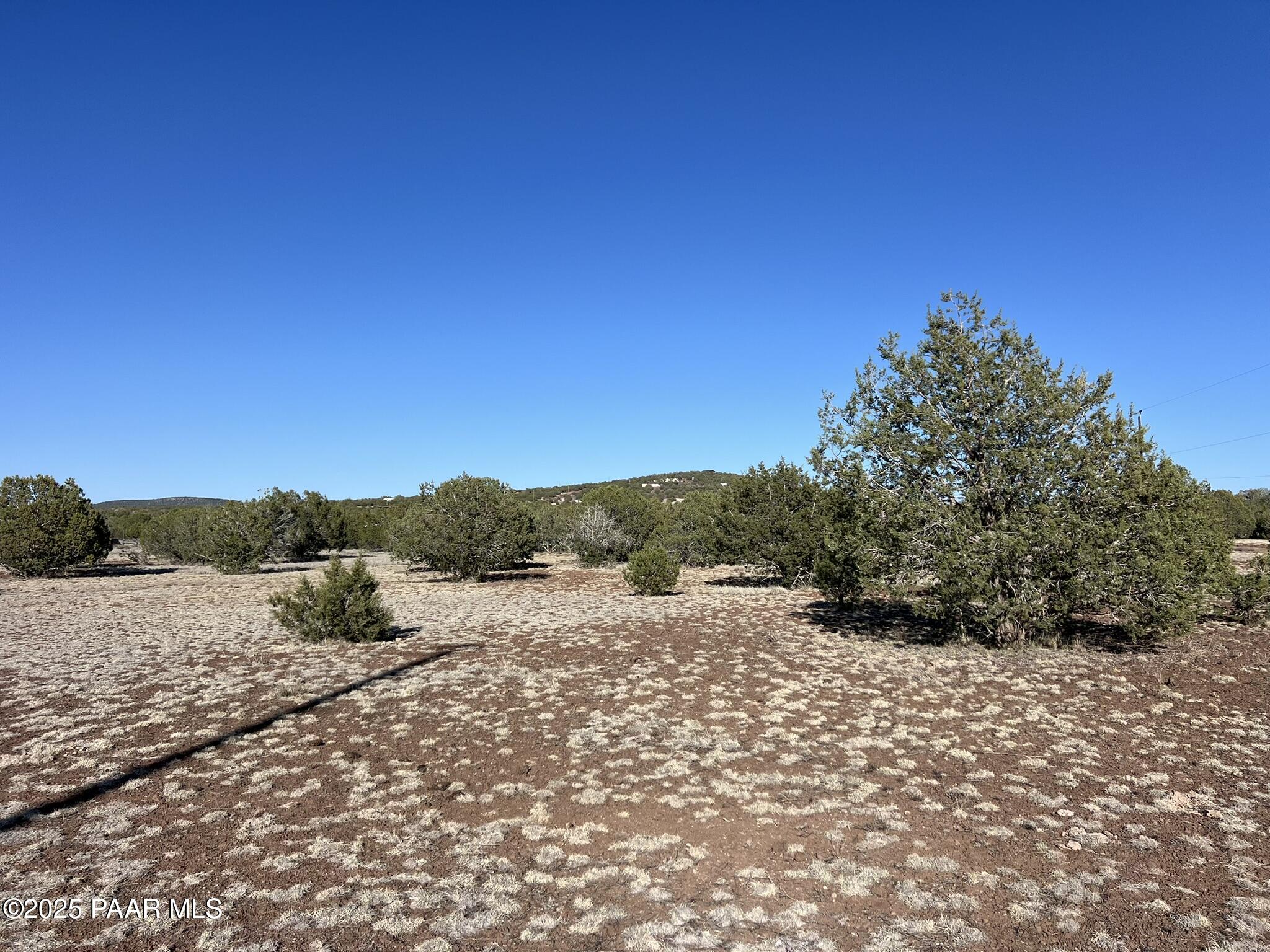 2265 Rincon Drive Williams, AZ 86046 - Photo 3 of 9 IMG_7743