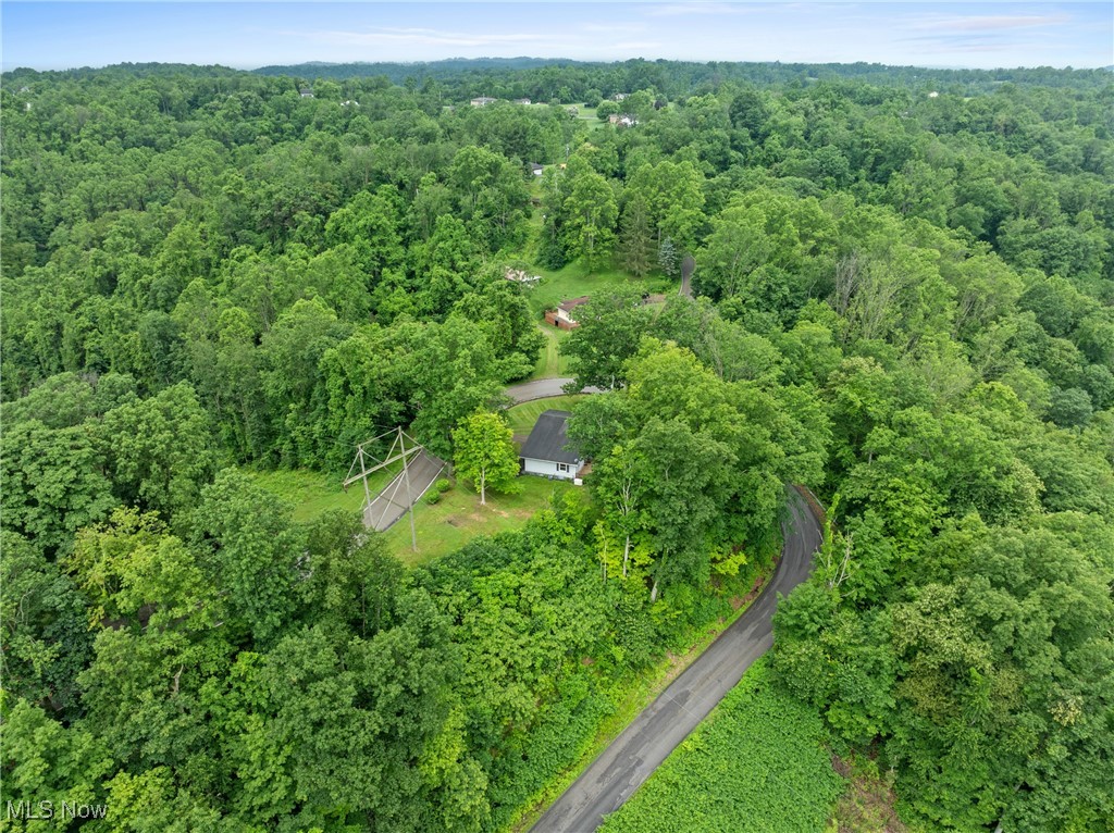 59937 Broadview Road Shadyside, OH 43947 - Photo 34 of 36 Bird's eye view of a heavily wooded area