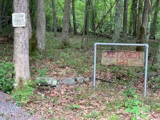 121 Mud Run Road Cresco, PA 18326 - Photo 4 of 14 IMG_0008 - Copy