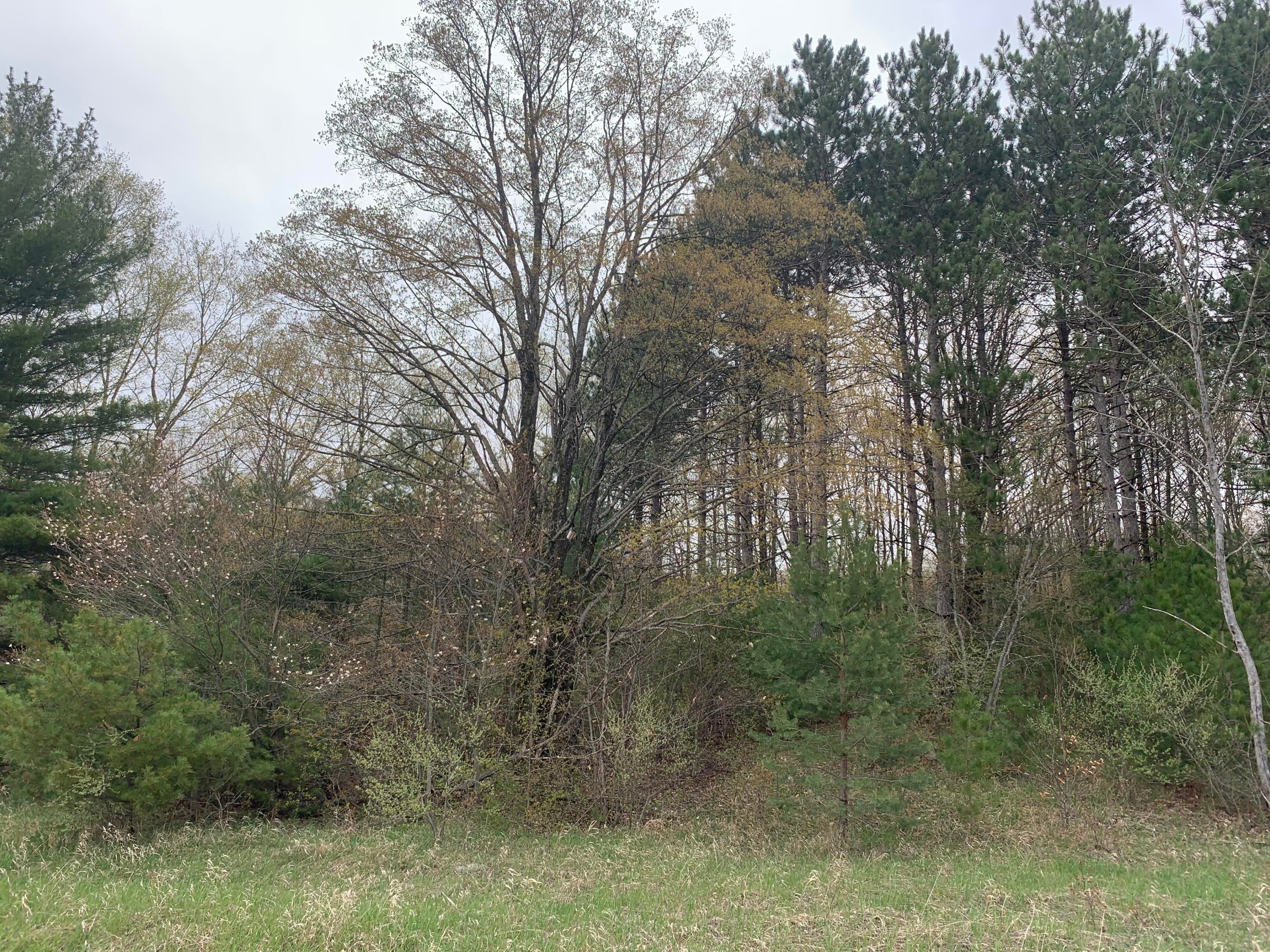 0 Yordy Road Mio, MI 48647 - Photo 1 of 6 Gallery Image 1