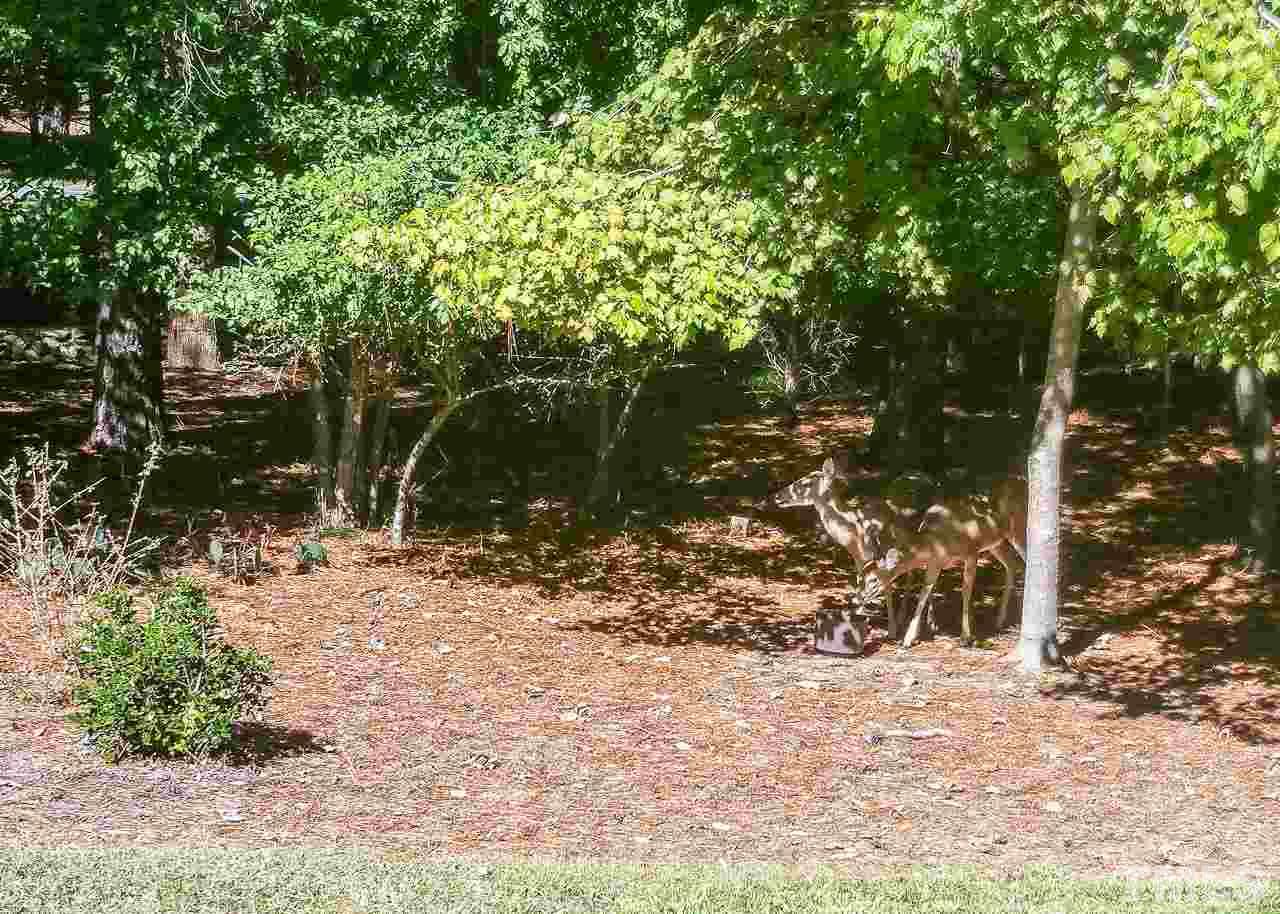136 Benedict Lane Raleigh, NC 27614 - Photo 22 of 22