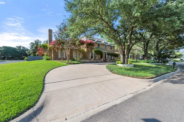 a view of a park with plants and trees