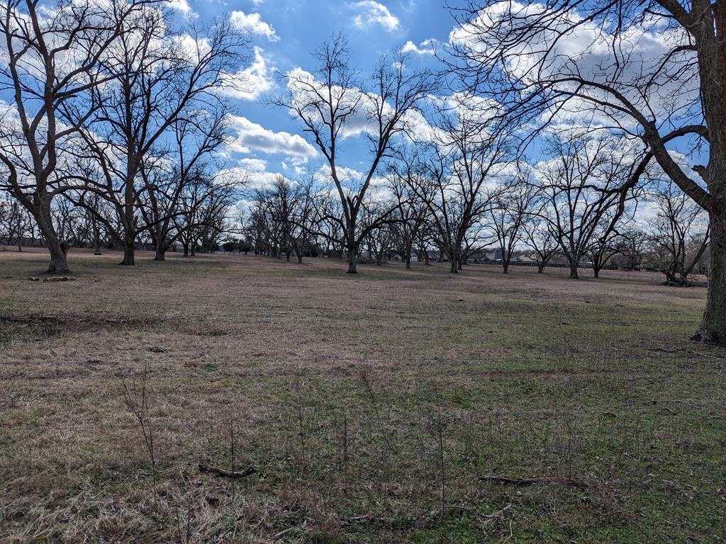 0 County Road 112 Dothan, AL 36303 - Photo 10 of 10
