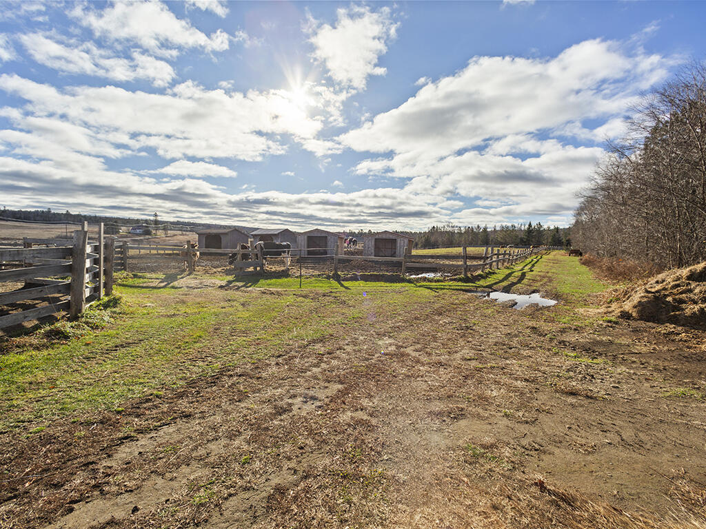 2038 East Ridge Road Athens, ME 04912 - Photo 9 of 46 7N7A1607