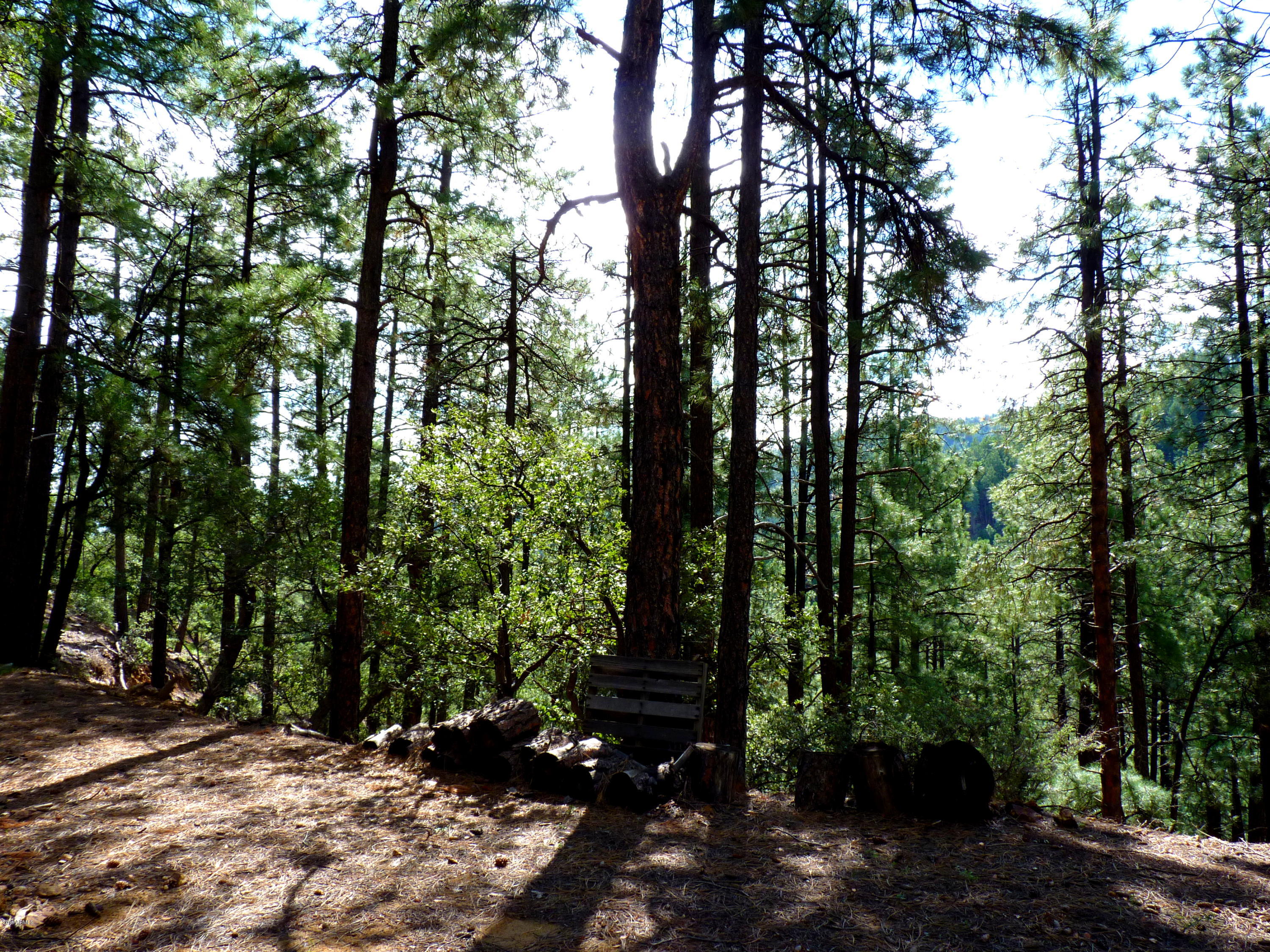 3340 East Sheldon Road Prescott, AZ 86303 - Photo 1 of 45 Main