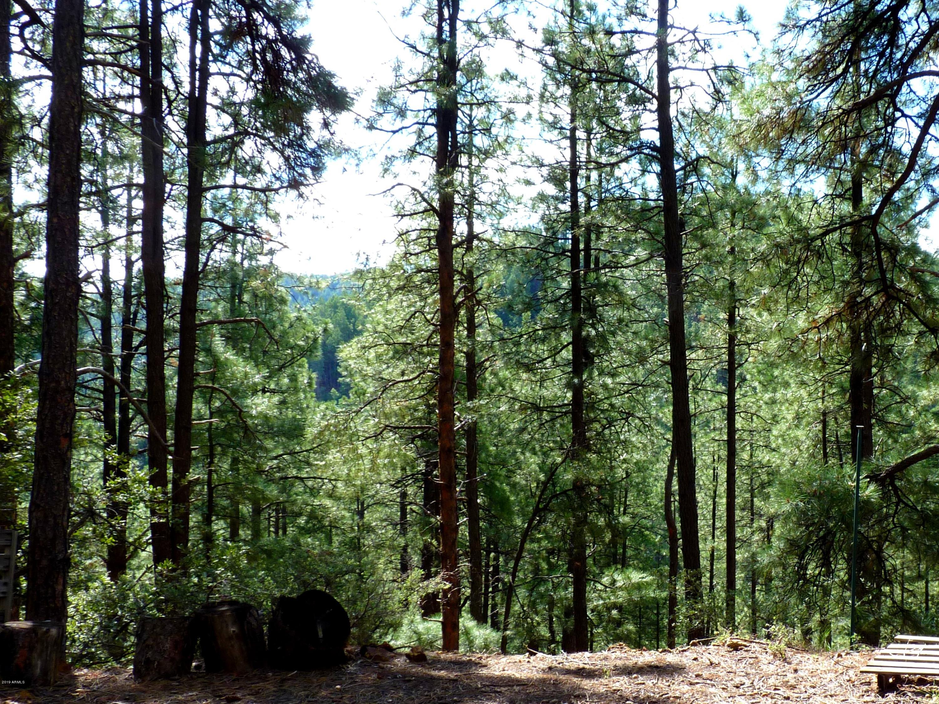 3340 East Sheldon Road Prescott, AZ 86303 - Photo 11 of 45 P1350929b