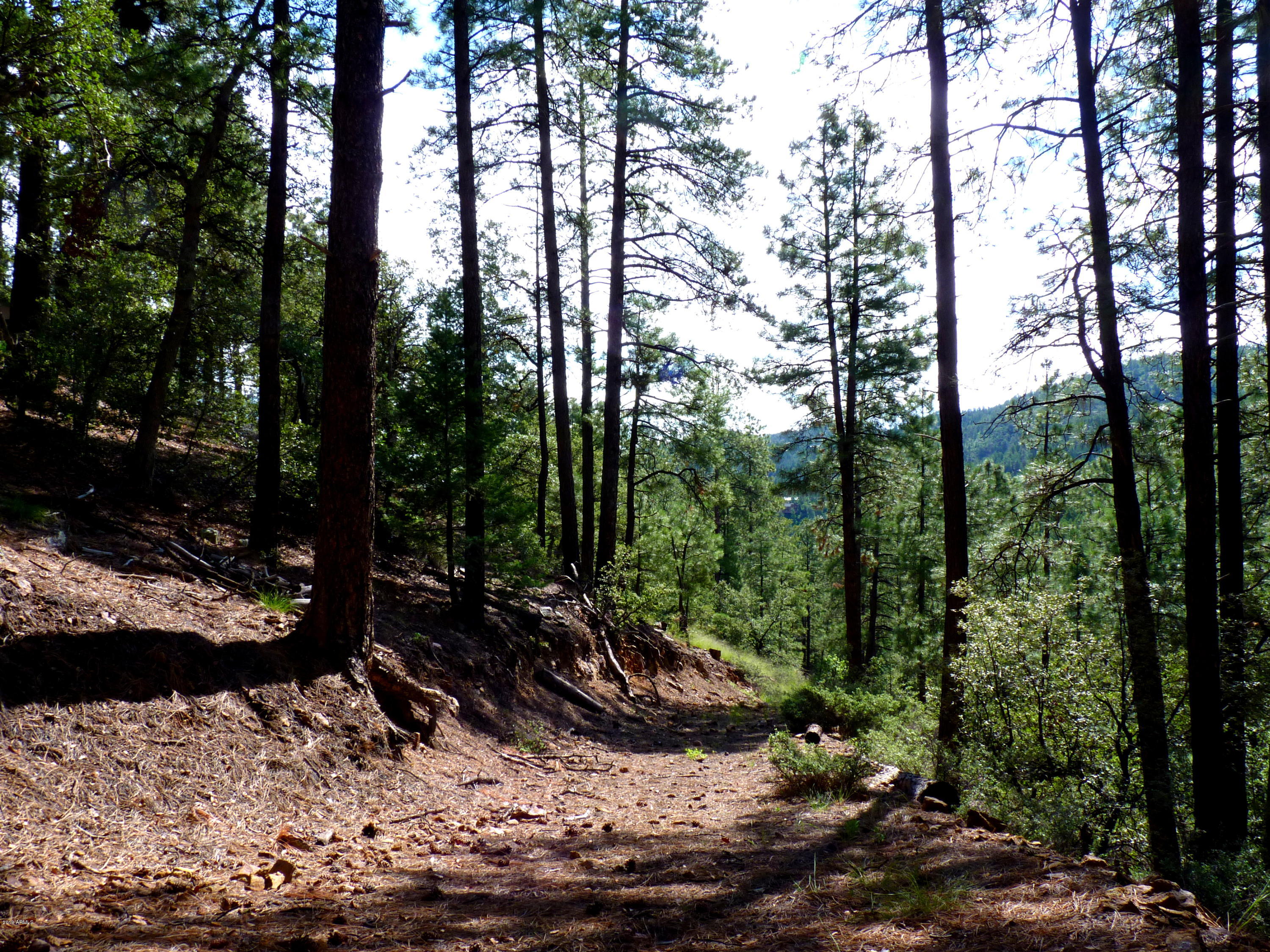 3340 East Sheldon Road Prescott, AZ 86303 - Photo 12 of 45 P1350931