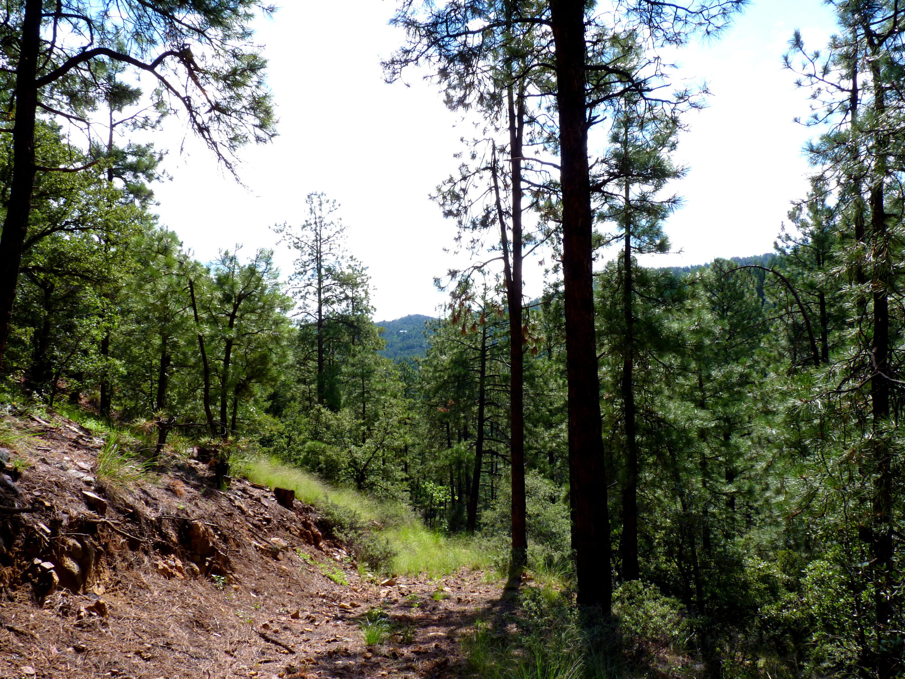 3340 East Sheldon Road Prescott, AZ 86303 - Photo 13 of 45 P1350932