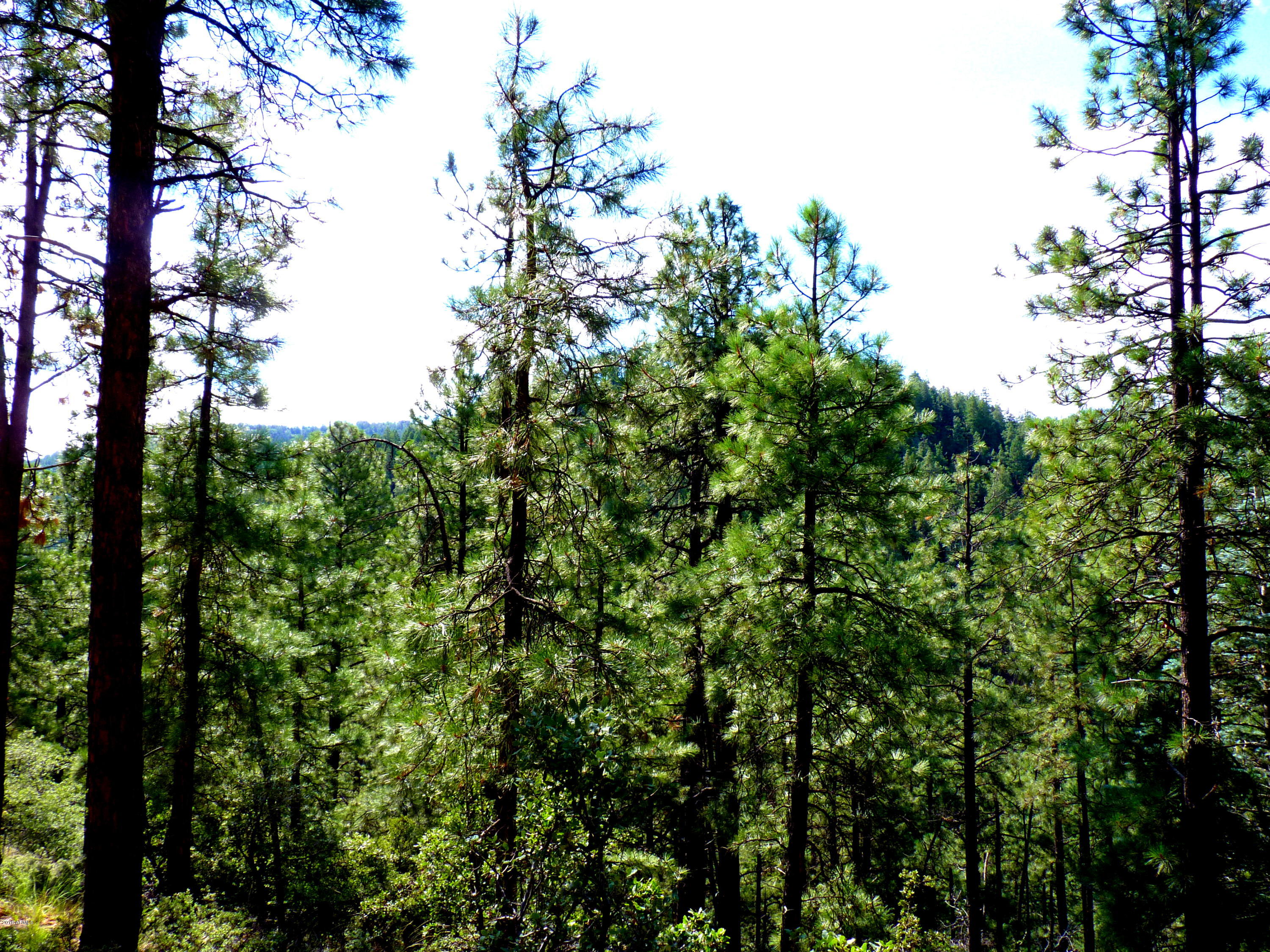 3340 East Sheldon Road Prescott, AZ 86303 - Photo 14 of 45 P1350933