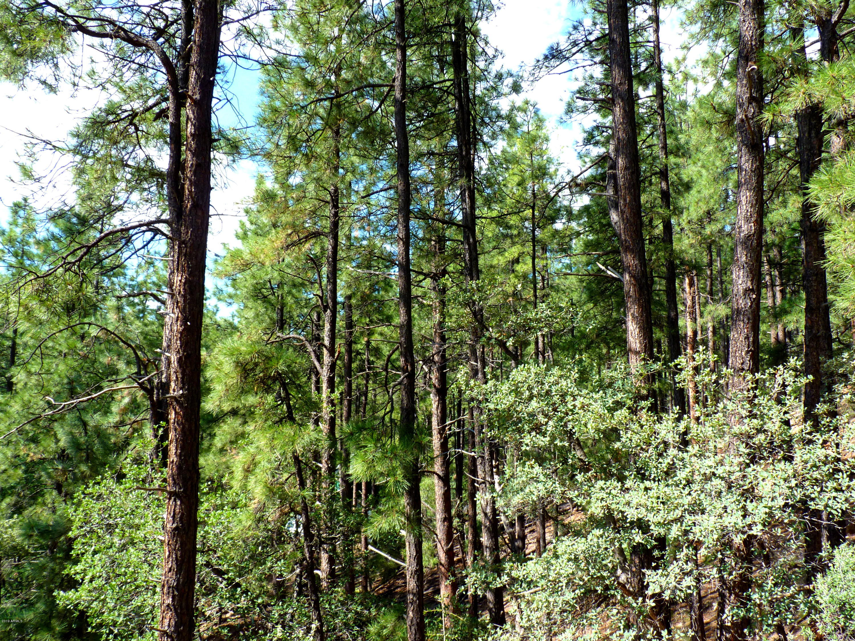 3340 East Sheldon Road Prescott, AZ 86303 - Photo 16 of 45 P1350935