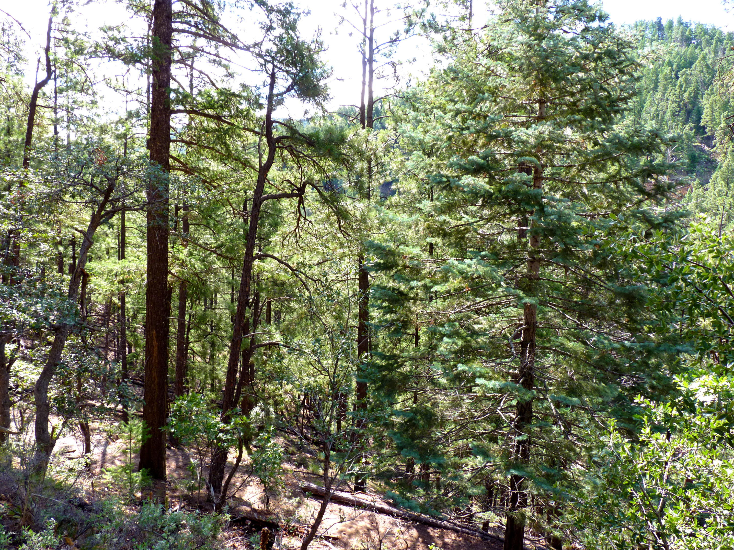 3340 East Sheldon Road Prescott, AZ 86303 - Photo 18 of 45 P1350937