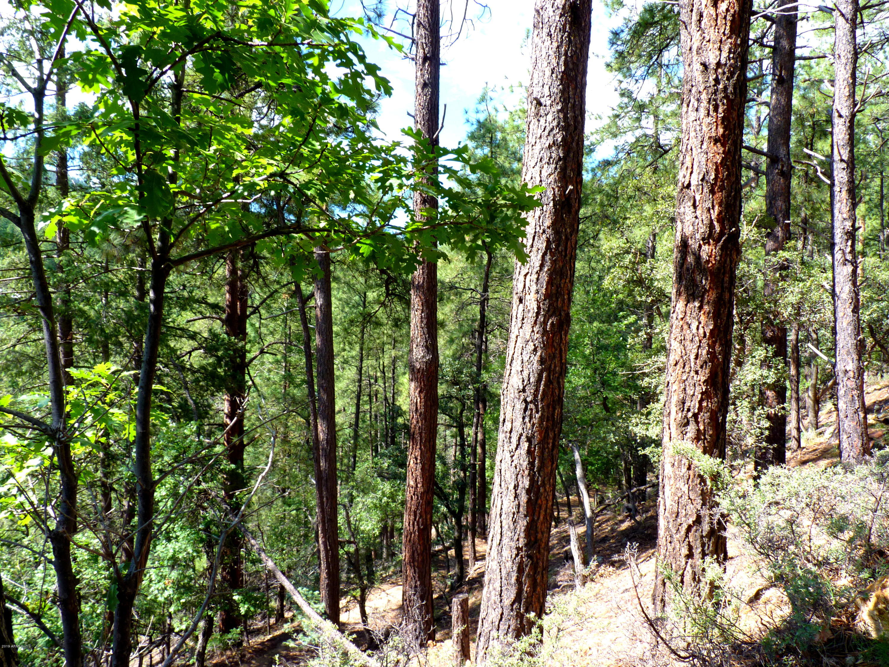 3340 East Sheldon Road Prescott, AZ 86303 - Photo 19 of 45 P1350938