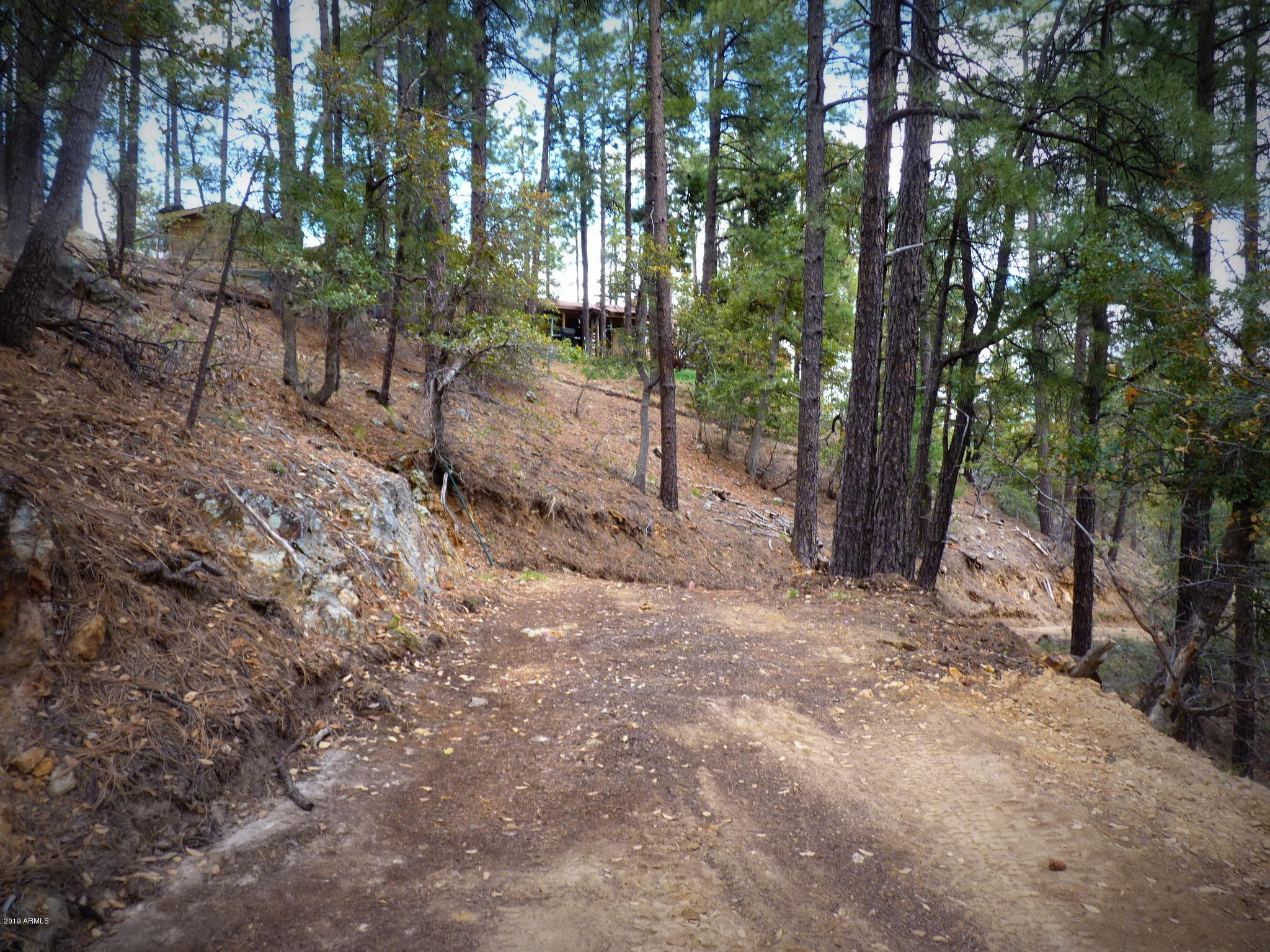 3340 East Sheldon Road Prescott, AZ 86303 - Photo 2 of 45 Driveway looking down