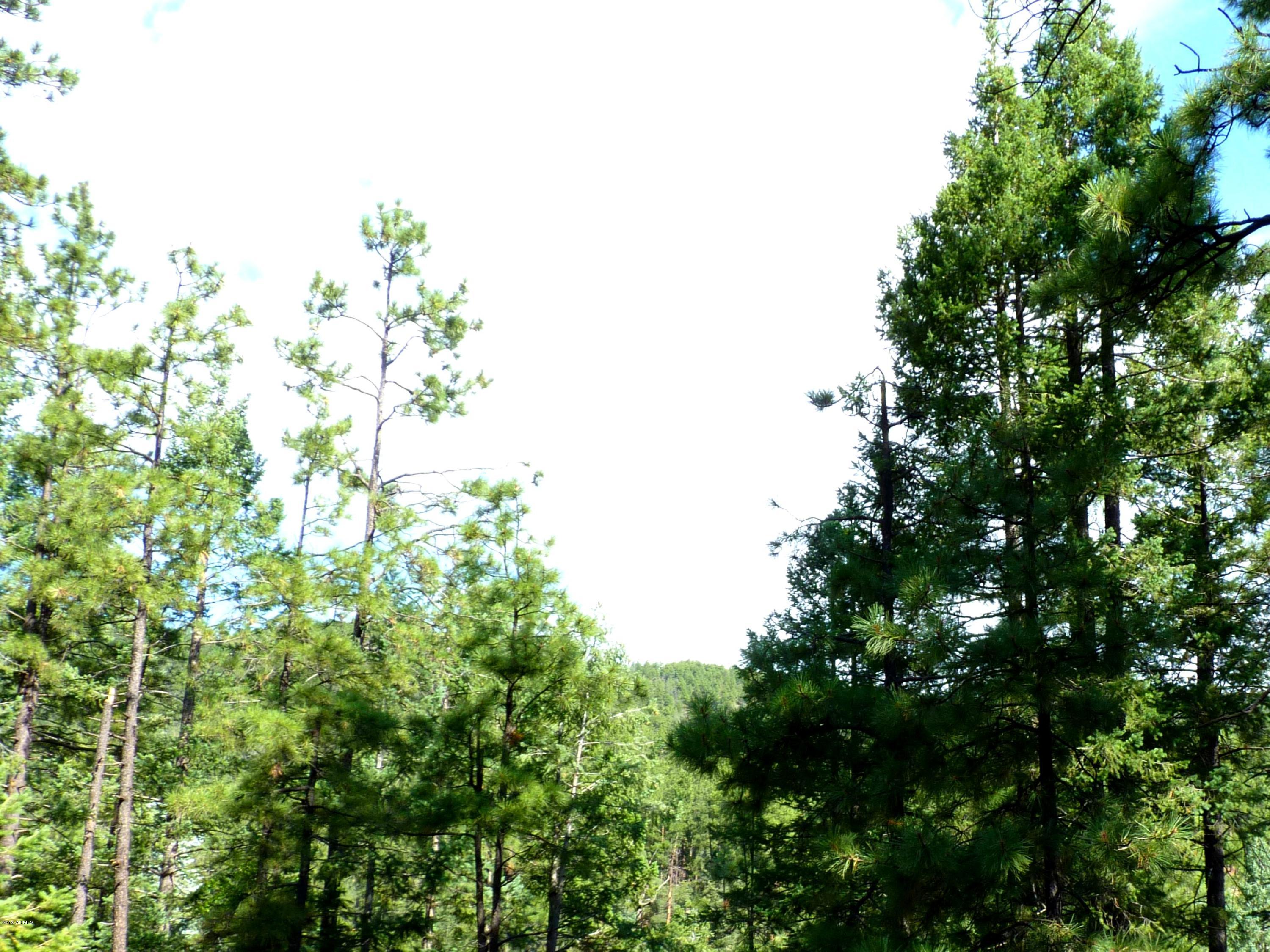 3340 East Sheldon Road Prescott, AZ 86303 - Photo 36 of 45 P1350955b