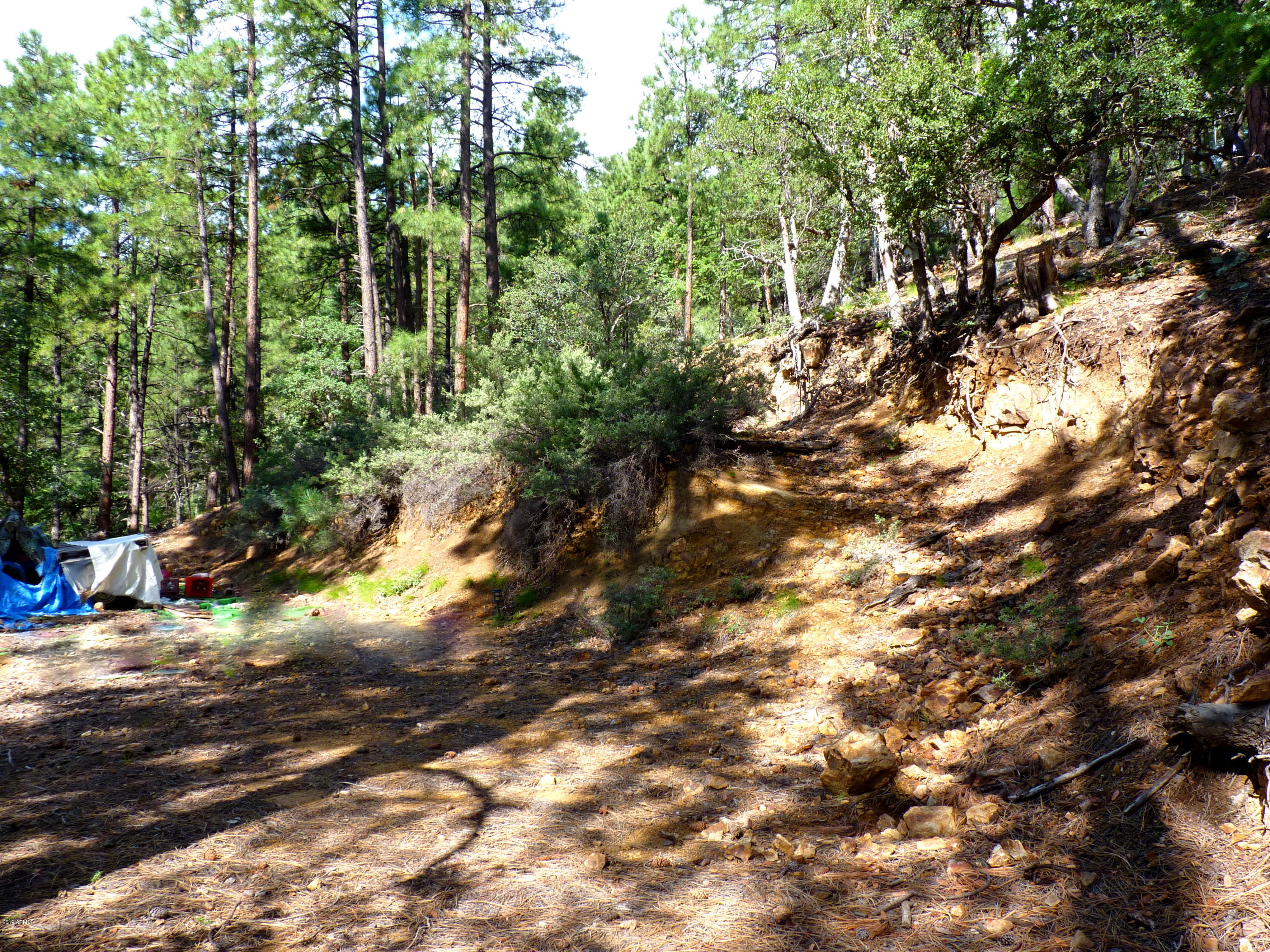3340 East Sheldon Road Prescott, AZ 86303 - Photo 6 of 45 P1350926