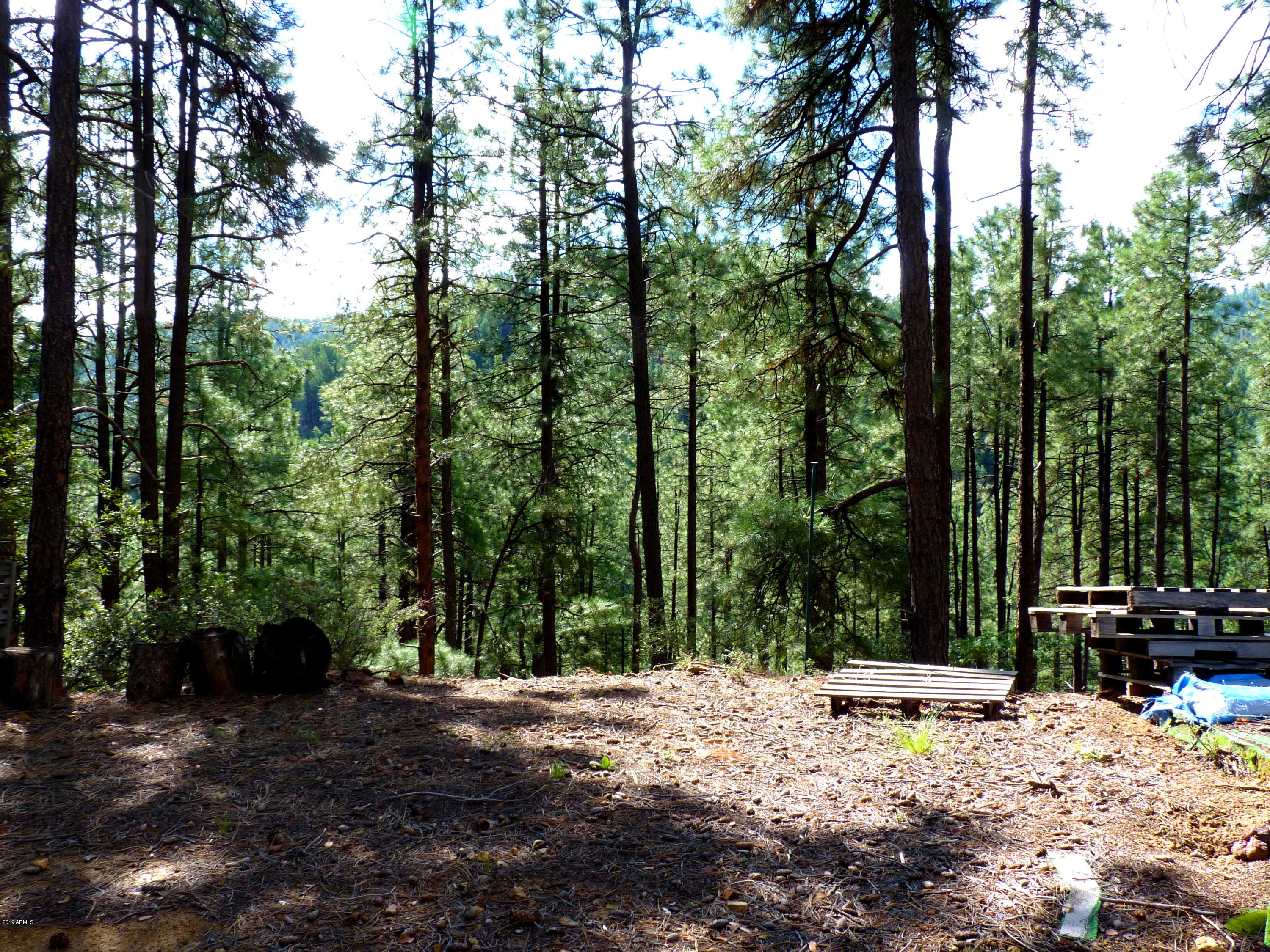 3340 East Sheldon Road Prescott, AZ 86303 - Photo 10 of 45 P1350929