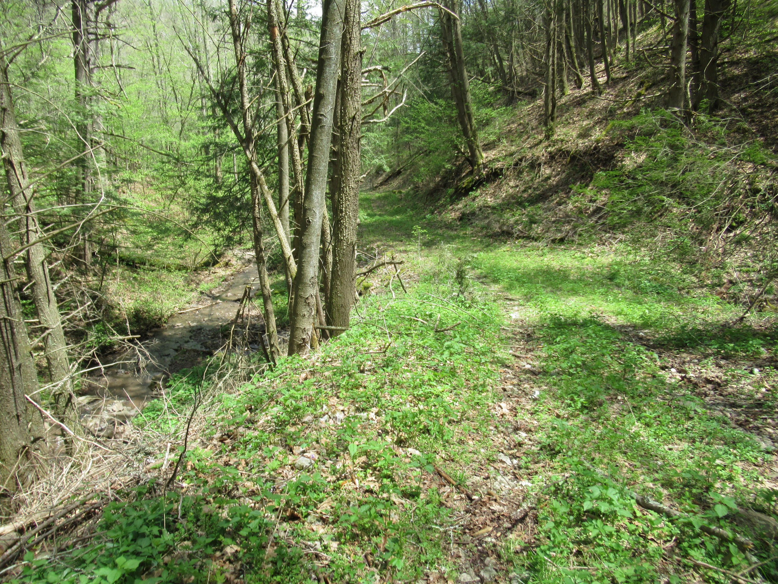Fitzwater Branch Road Renick, WV 24966 - Photo 16 of 18 Gallery Image 16