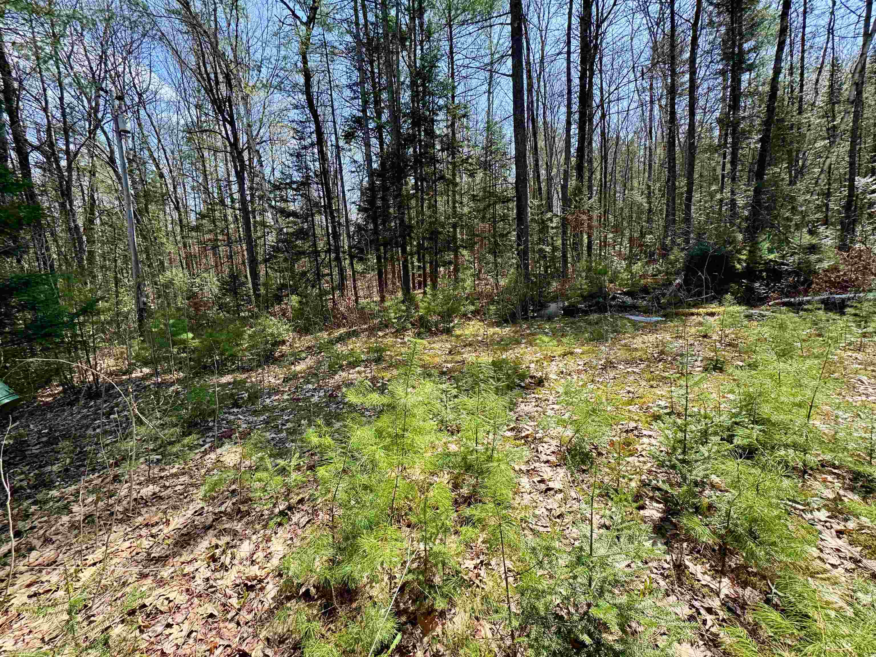 3826 Leighton Hill Road Newbury, VT 05081 - Photo 1 of 8