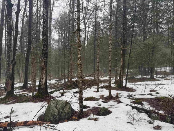 $100,000 | 3826 Leighton Hill Road, Newbury, VT 05081