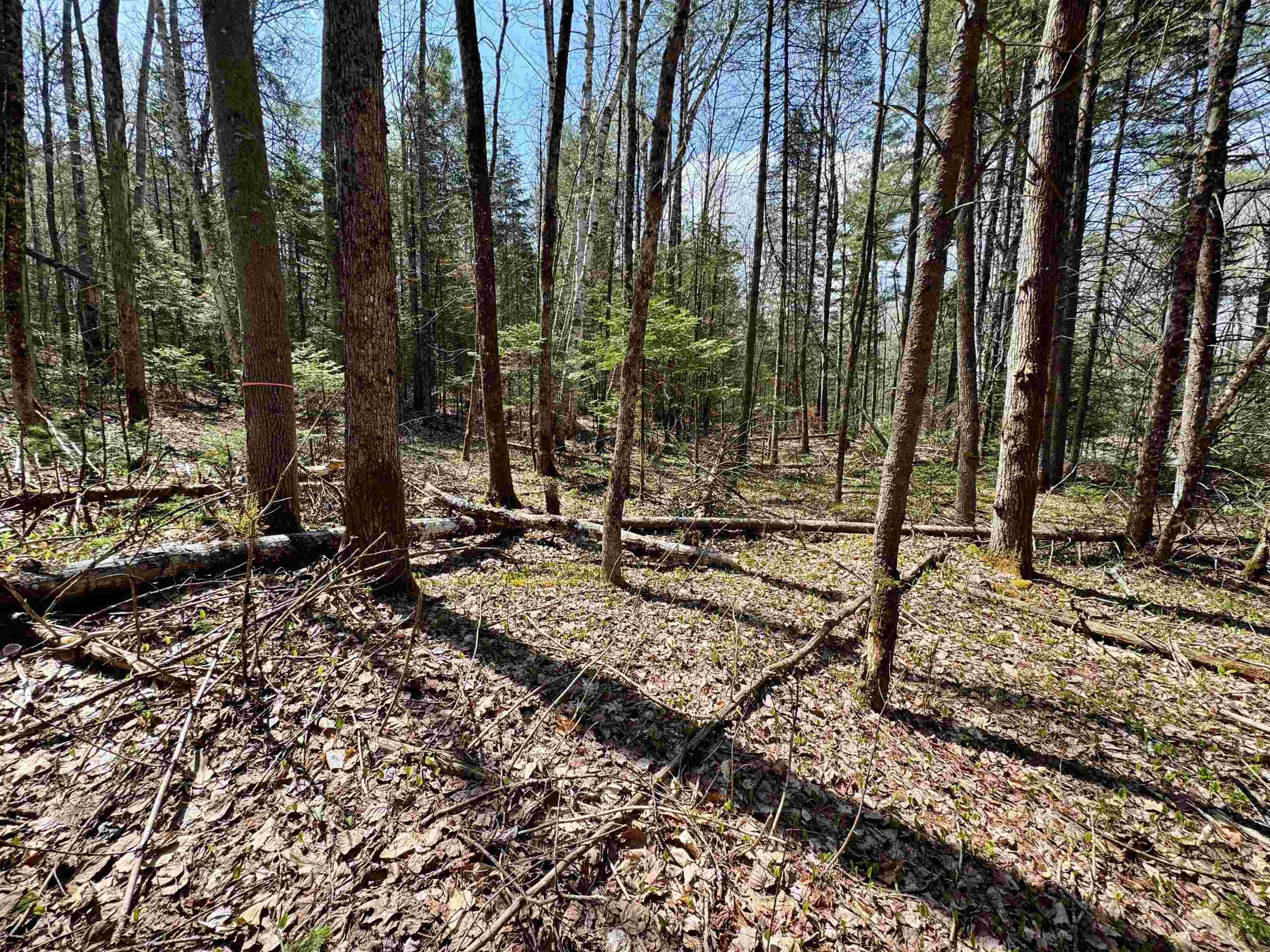 3826 Leighton Hill Road Newbury, VT 05081 - Photo 2 of 8
