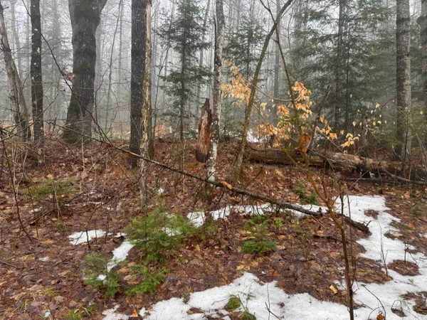$100,000 | 3826 Leighton Hill Road, Newbury, VT 05081