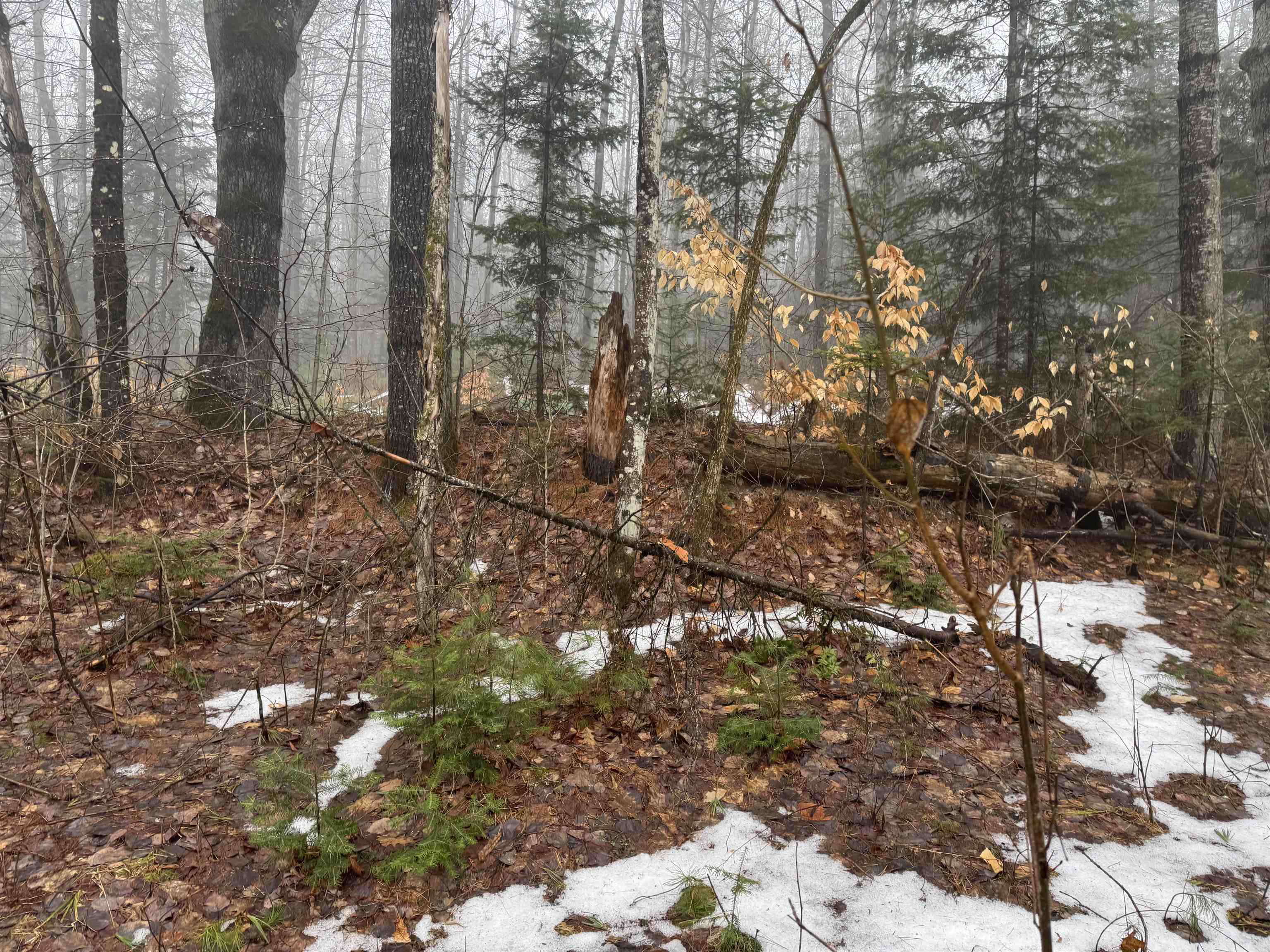 3826 Leighton Hill Road Newbury, VT 05081 - Photo 3 of 10