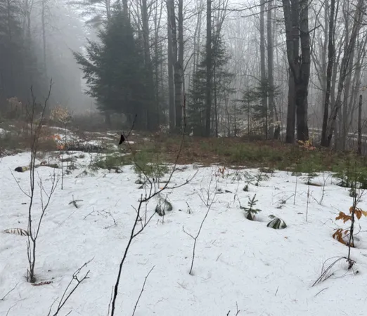 $100,000 | 3826 Leighton Hill Road, Newbury, VT 05081