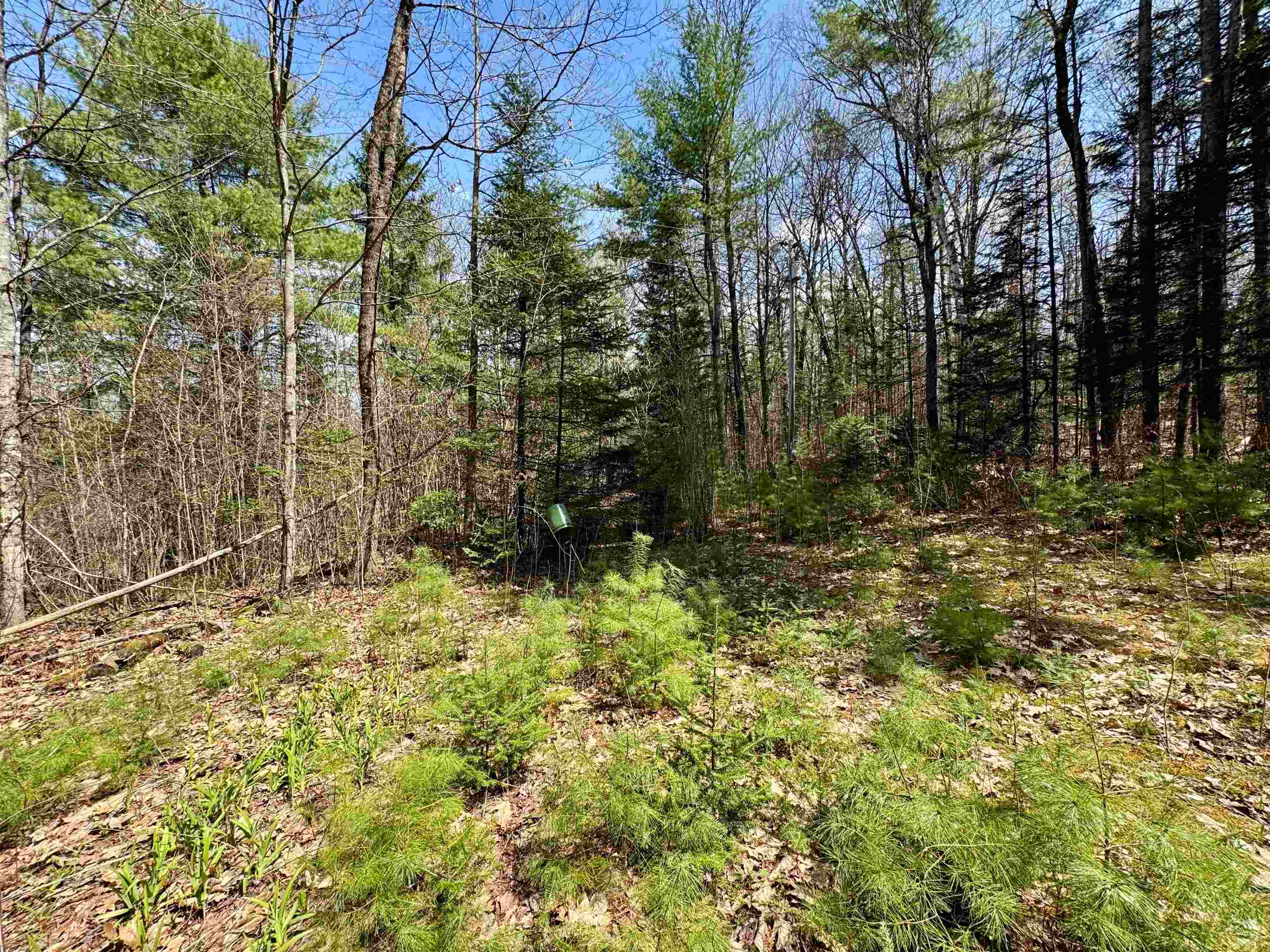 3826 Leighton Hill Road Newbury, VT 05081 - Photo 5 of 8