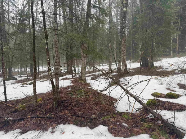 $100,000 | 3826 Leighton Hill Road, Newbury, VT 05081