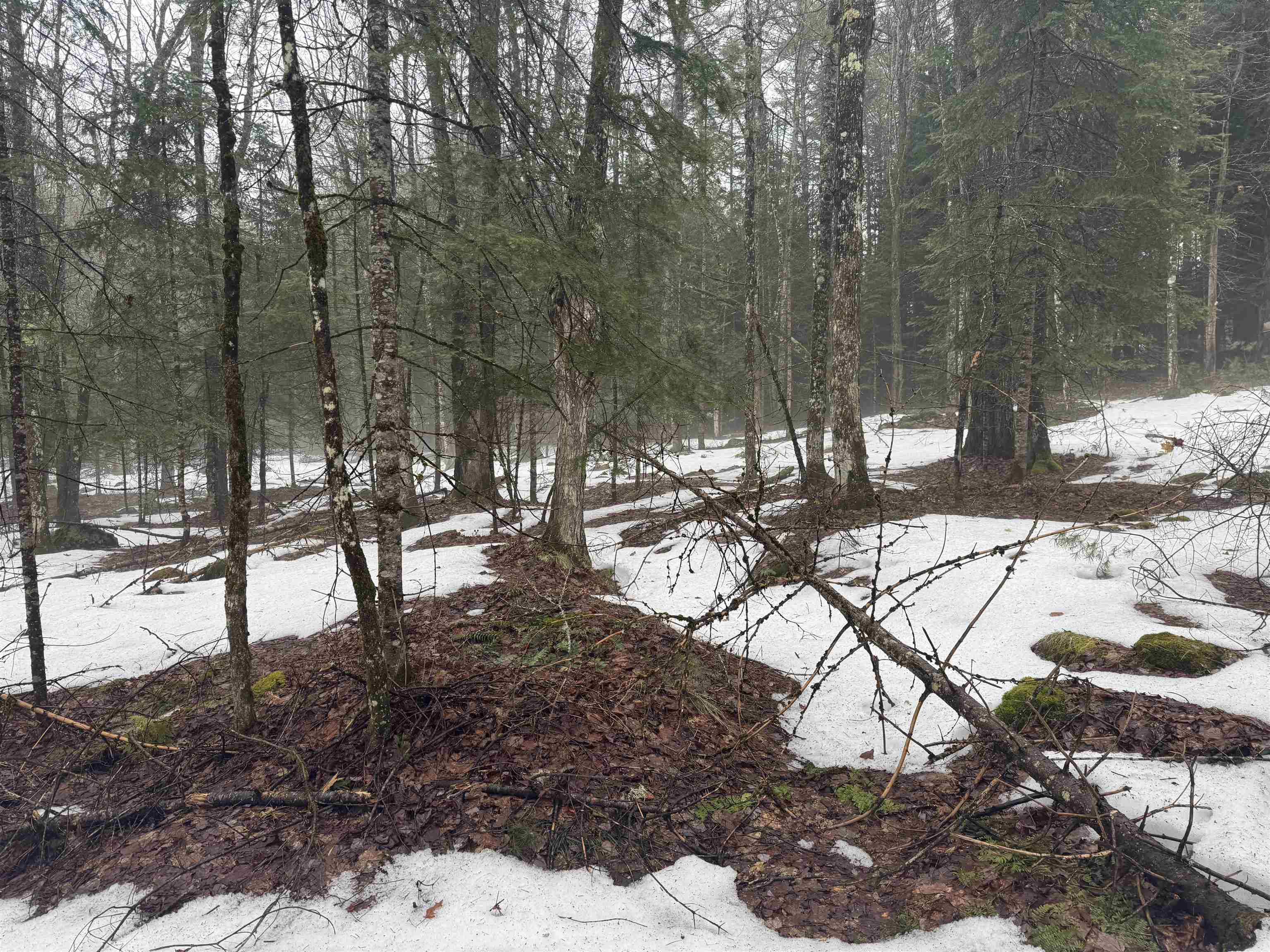 3826 Leighton Hill Road Newbury, VT 05081 - Photo 6 of 10