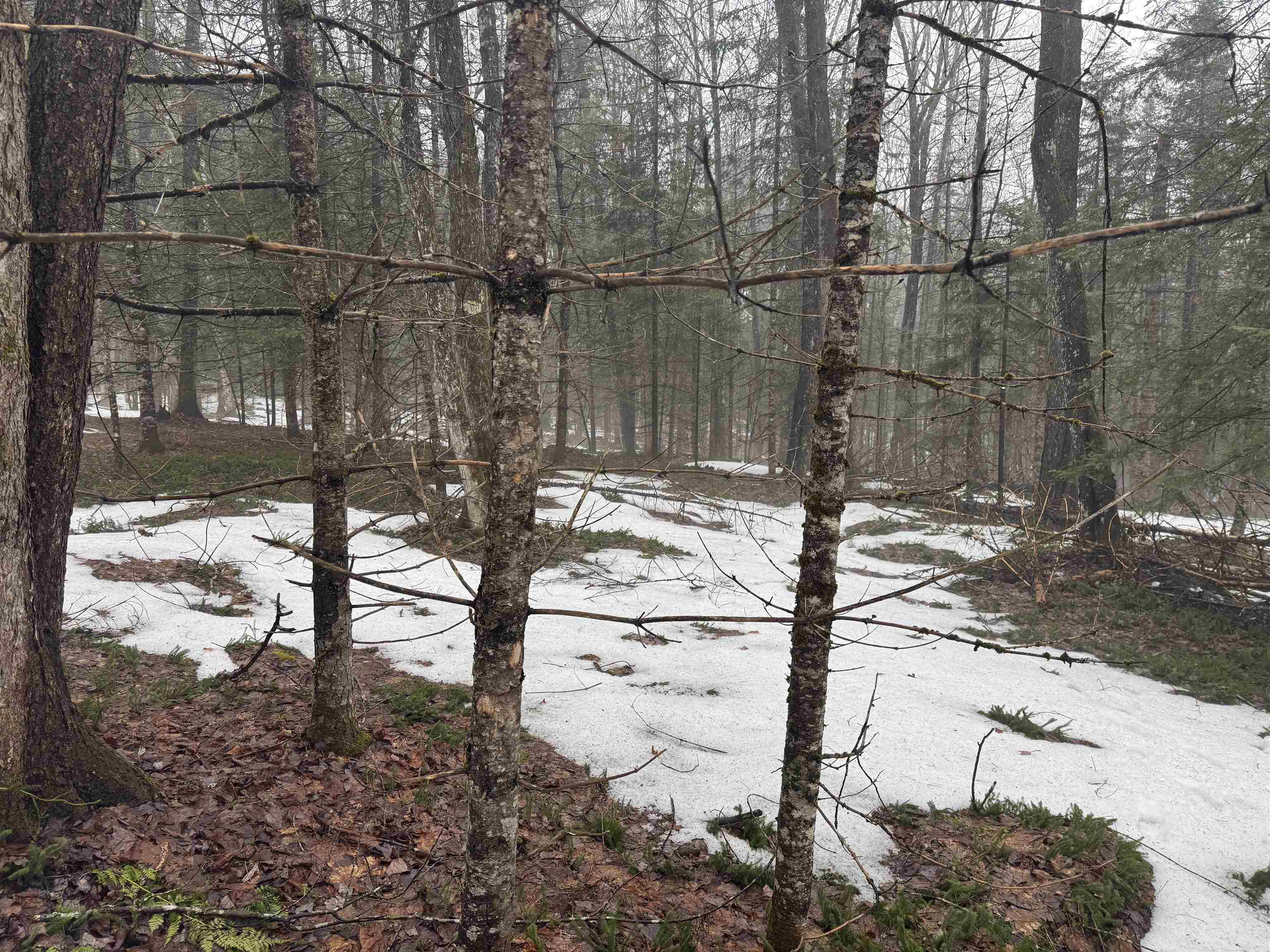 3826 Leighton Hill Road Newbury, VT 05081 - Photo 7 of 10