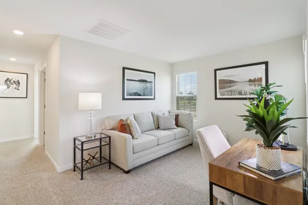 a living room with furniture potted plant and a lamp