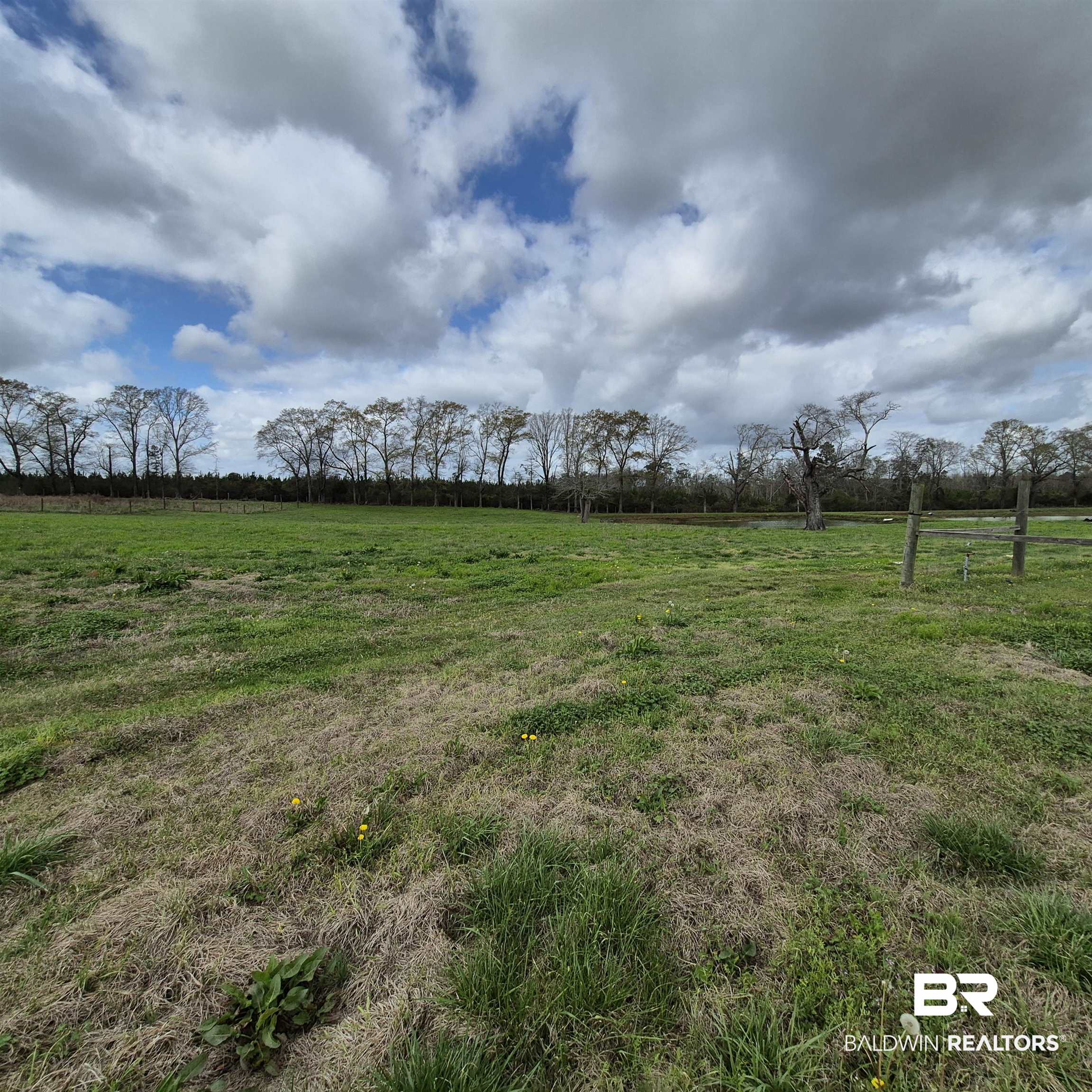 26635 Highway 41 Range, AL 36473 - Photo 66 of 74 View of green lawn featuring a view of rural / pastoral area