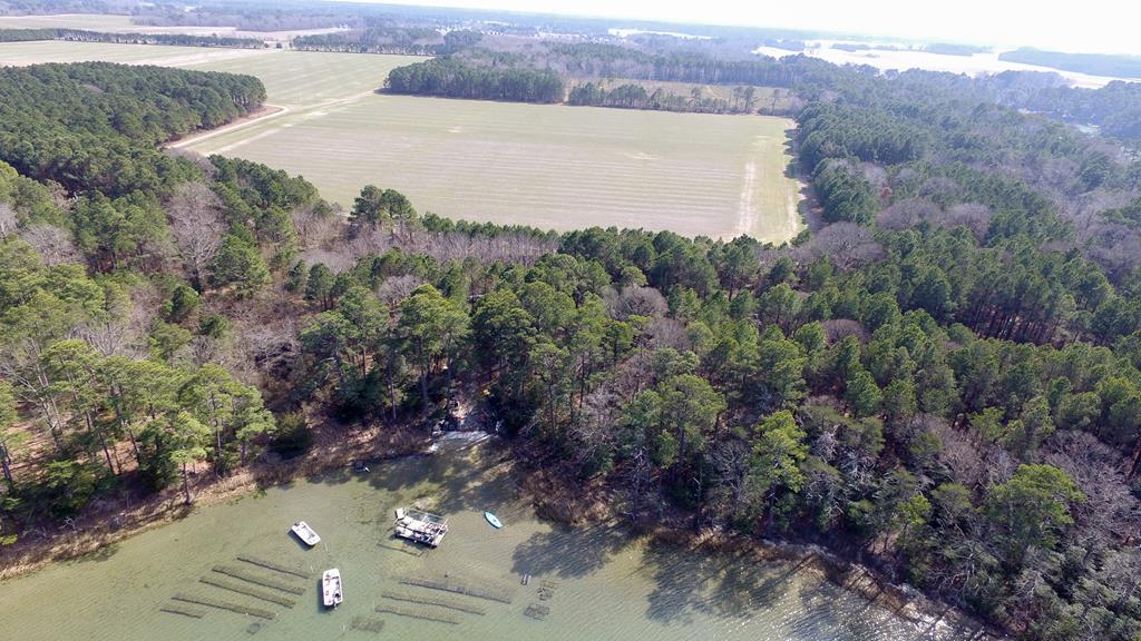 10360 Church Neck Road, Unit 12 Machipongo, VA 23405 - Photo 11 of 18