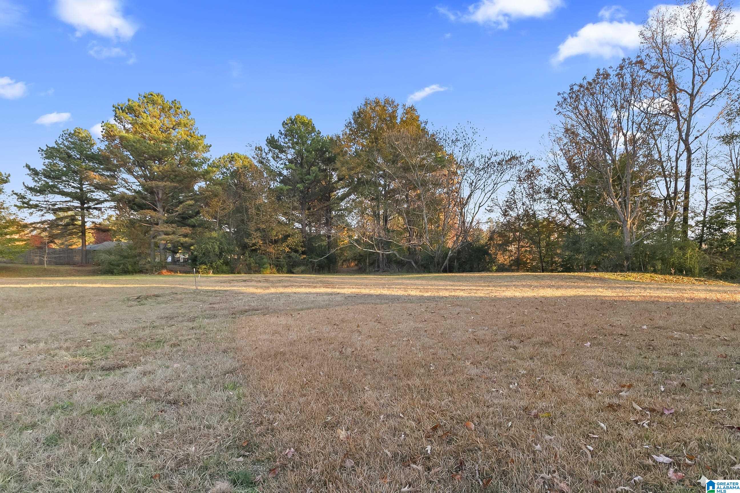 14198 Dairy Barn Road Cottondale, AL 35453 - Photo 3 of 37
