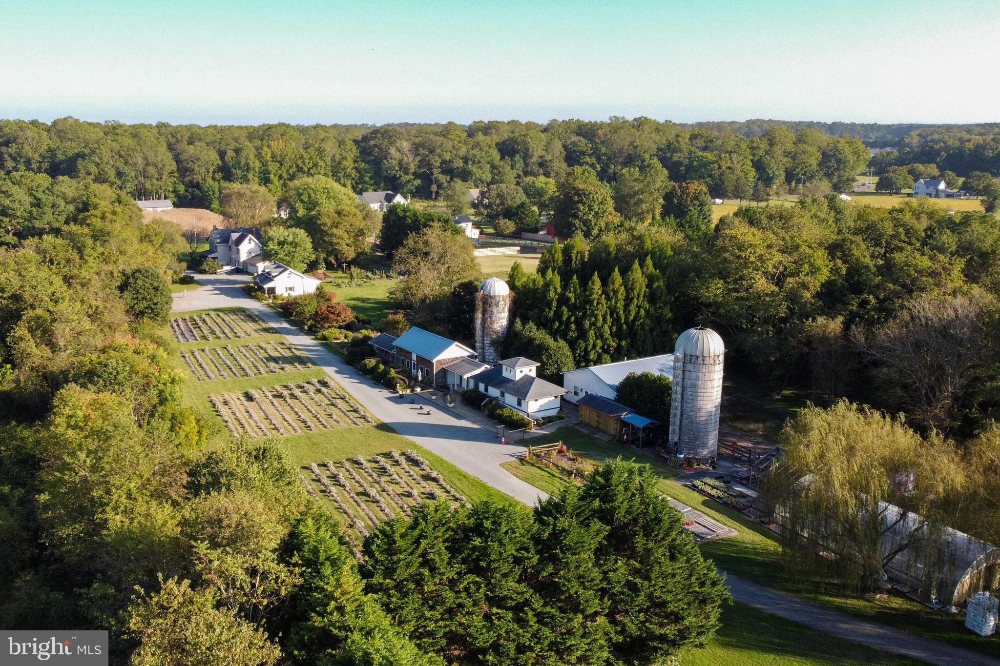18864 Cool Spring Road Milton, DE 19968 - Photo 108 of 110