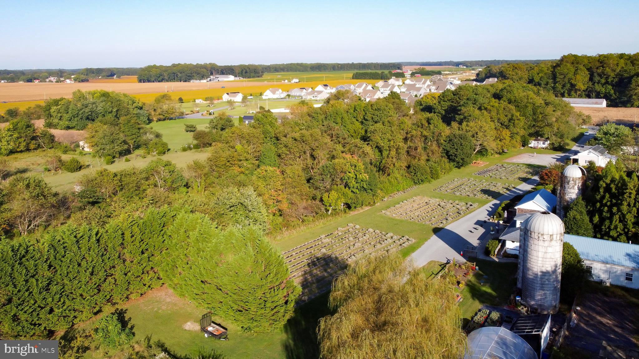 18864 Cool Spring Road Milton, DE 19968 - Photo 109 of 110