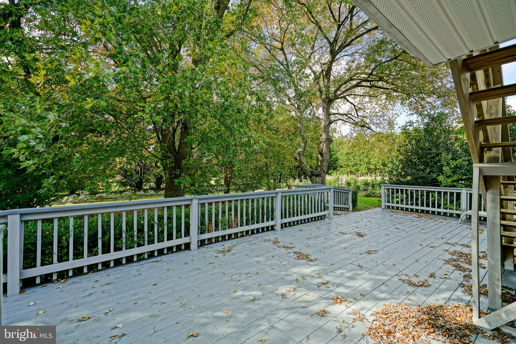 18864 Cool Spring Road Milton, DE 19968 - Photo 65 of 110