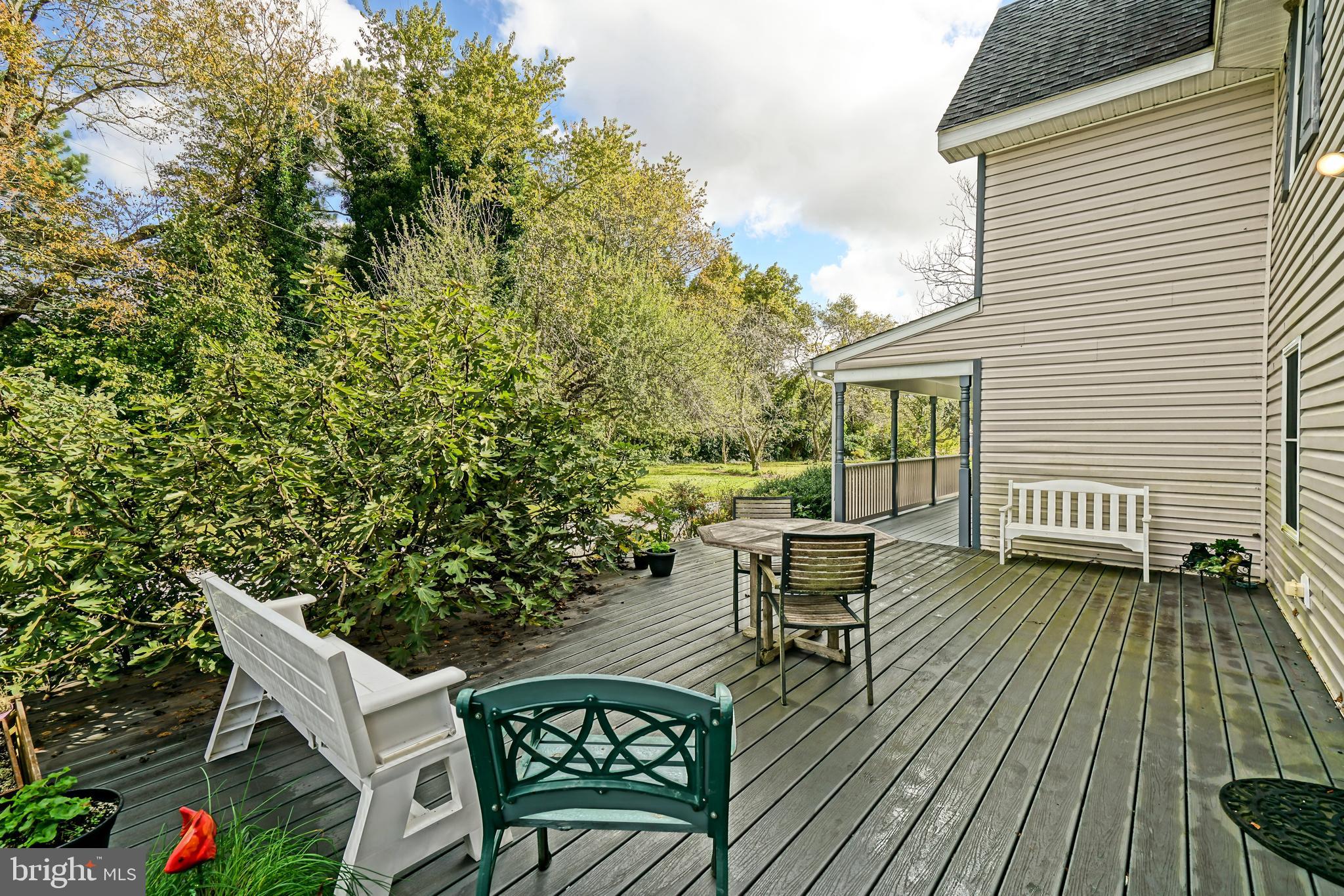 18864 Cool Spring Road Milton, DE 19968 - Photo 68 of 110