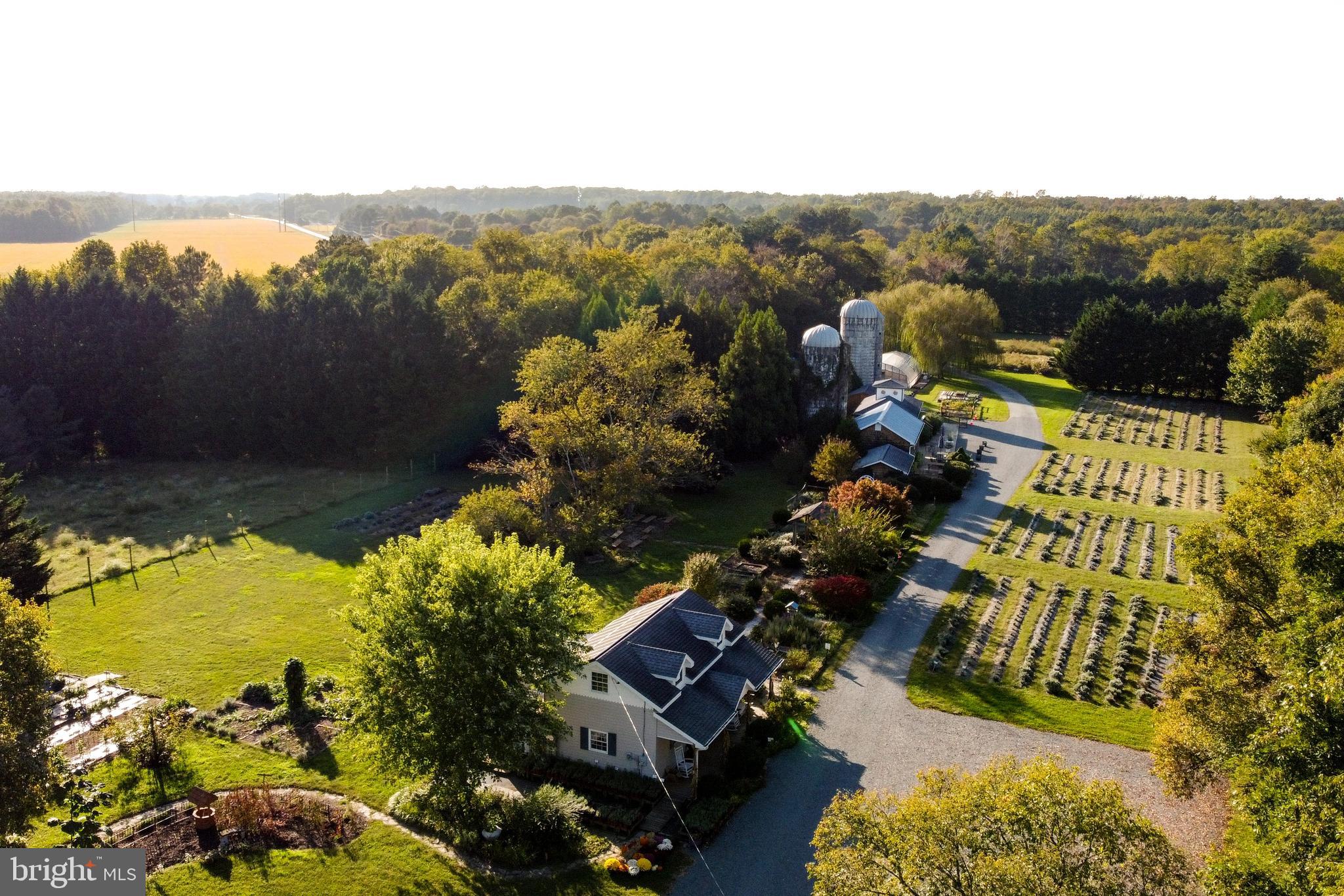18864 Cool Spring Road Milton, DE 19968 - Photo 72 of 110