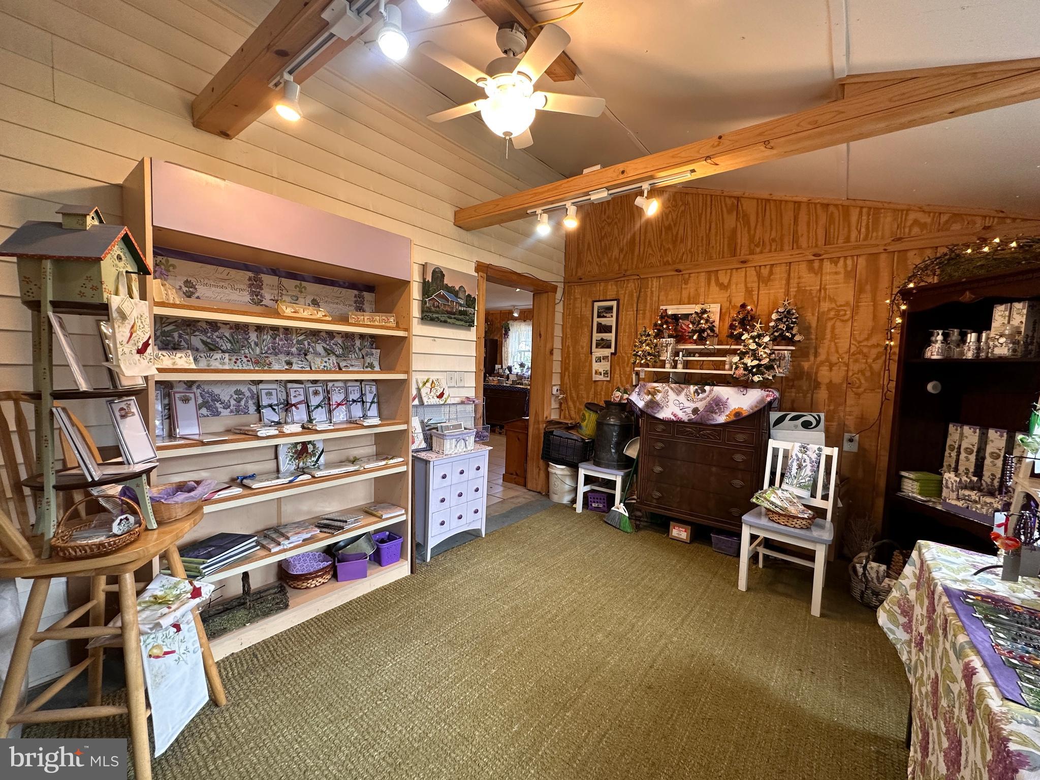 18864 Cool Spring Road Milton, DE 19968 - Photo 78 of 110