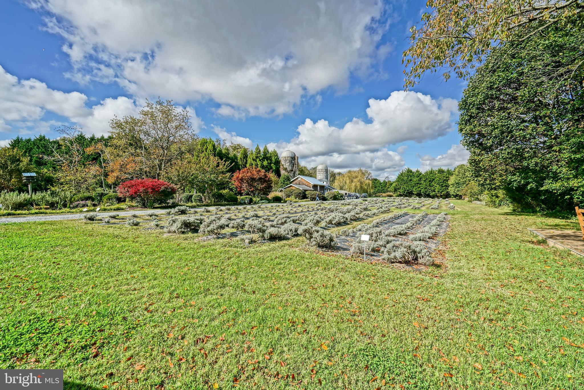 18864 Cool Spring Road Milton, DE 19968 - Photo 81 of 110
