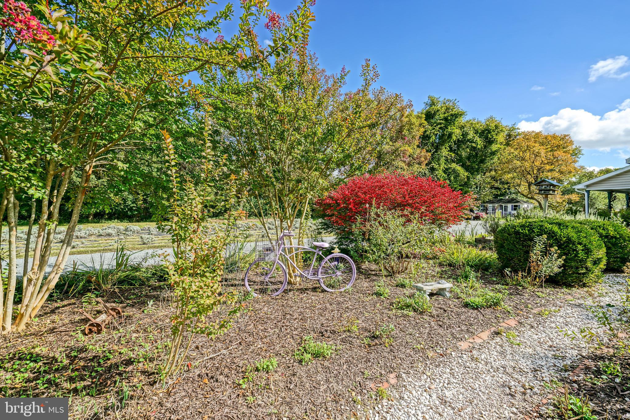 18864 Cool Spring Road Milton, DE 19968 - Photo 82 of 110