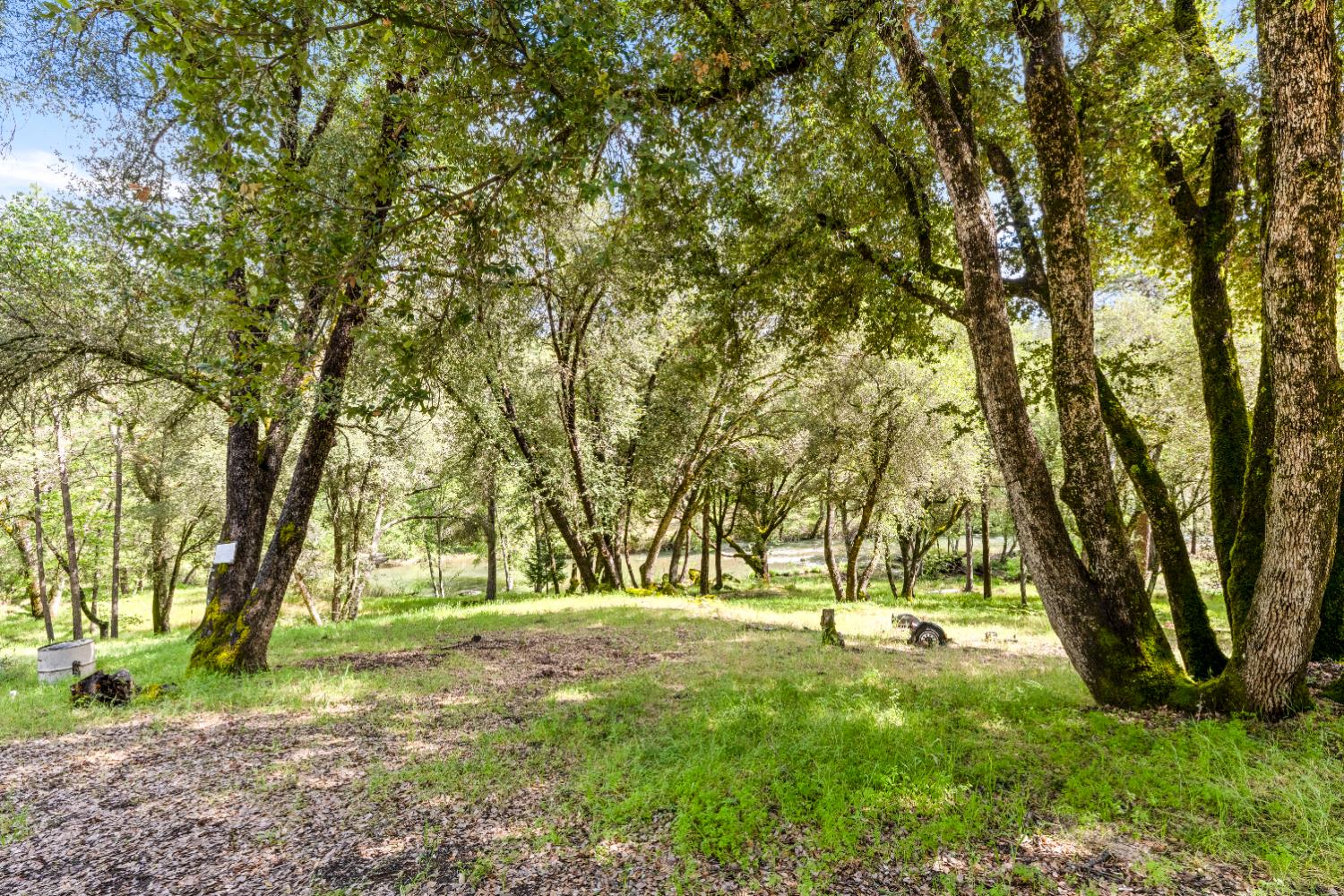 7321 Morning Canyon Road Placerville, CA 95667 - Photo 22 of 39