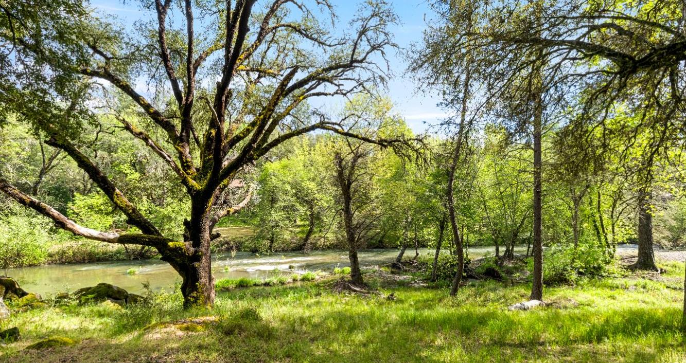 7321 Morning Canyon Road Placerville, CA 95667 - Photo 24 of 39